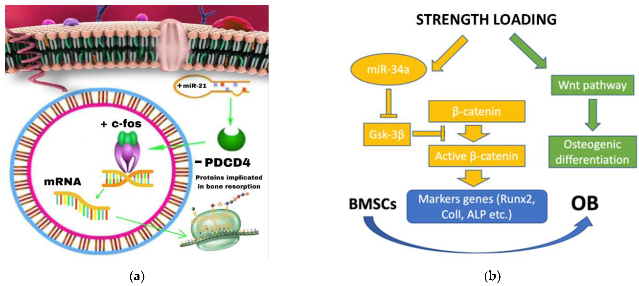 https://www.mdpi.com/ijms/ijms-23-15501/article_deploy/html/images/ijms-23-15501-g001.png