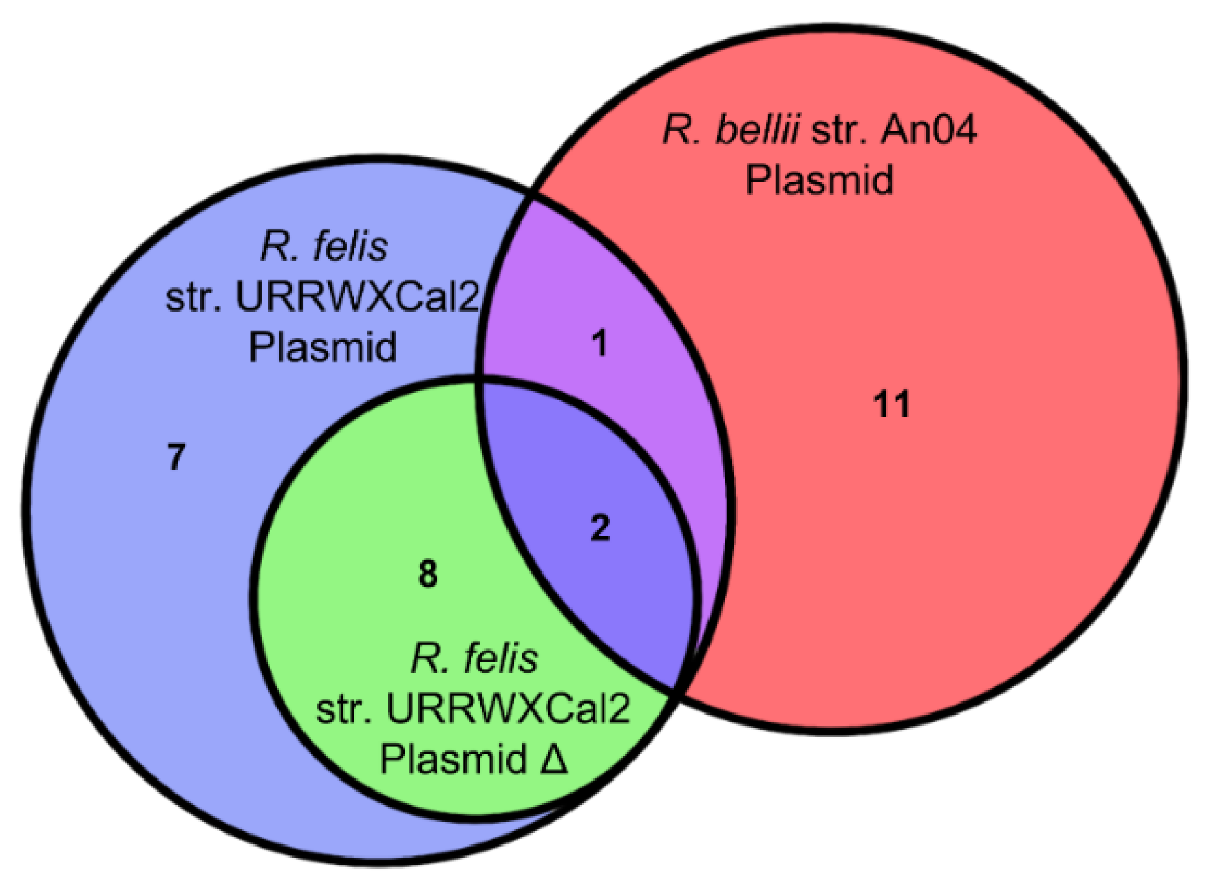 Ijms 23 15513 g002 Ijms 23 15513 g002