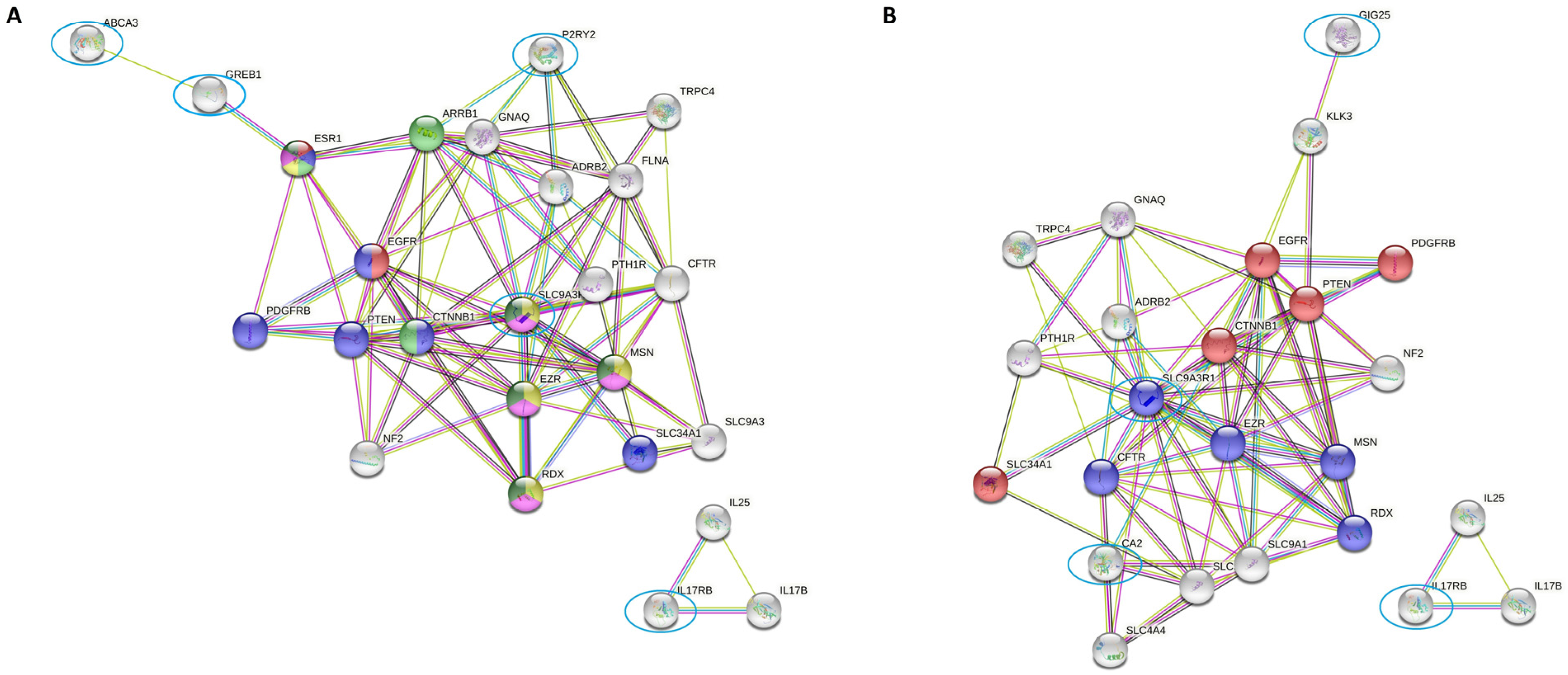 Ijms 23 15515 g002 Ijms 23 15515 g002