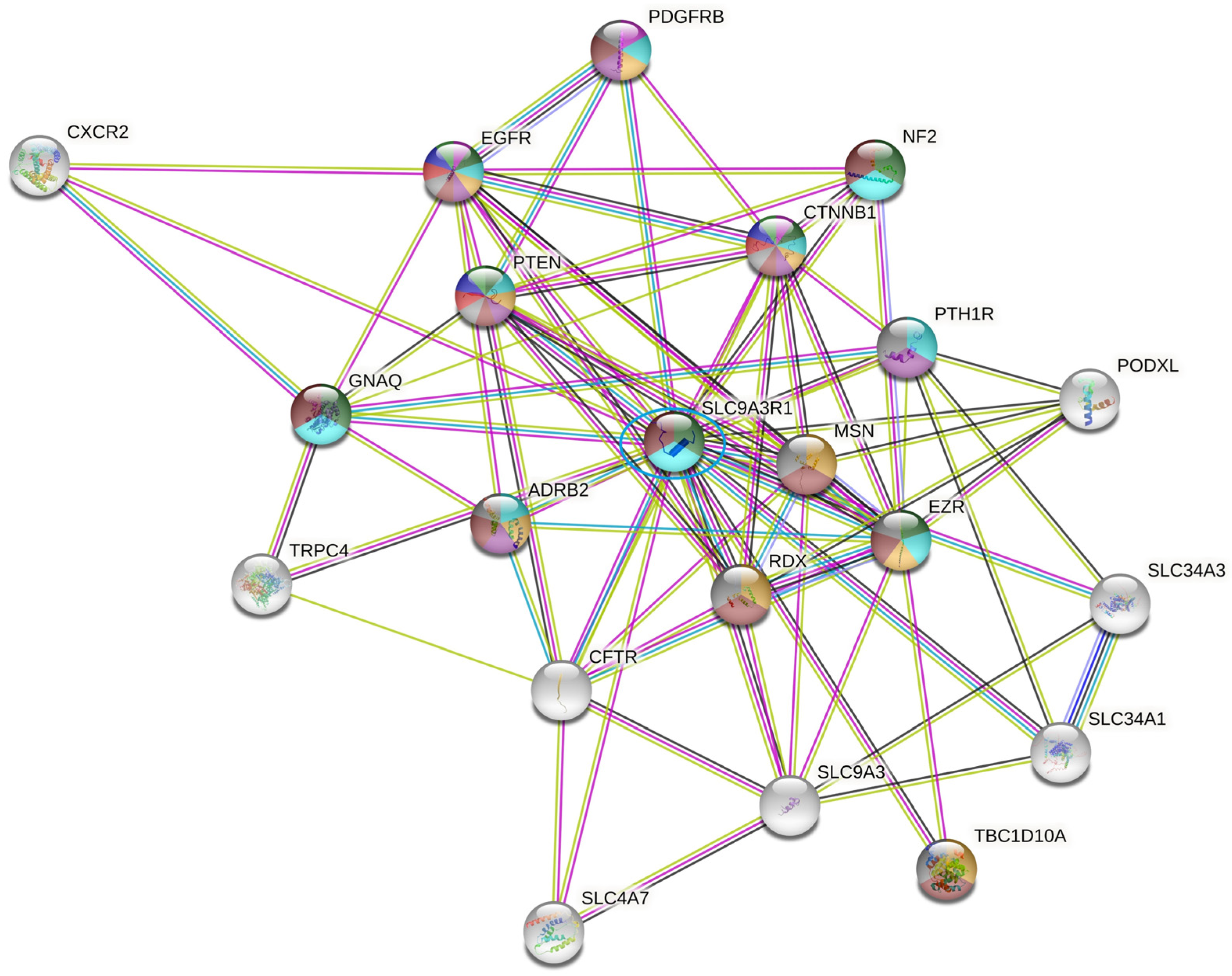 Ijms 23 15515 g003 Ijms 23 15515 g003