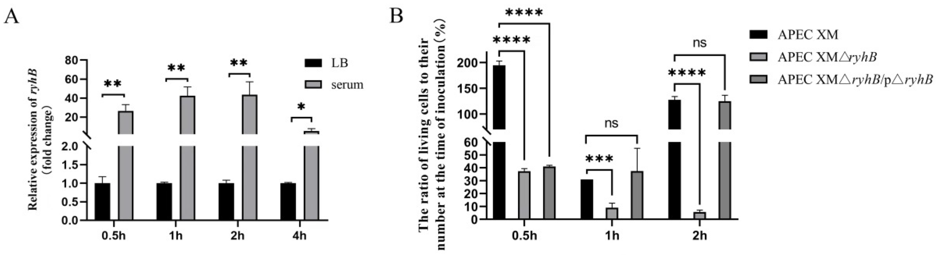 Ijms 23 15532 g001 Ijms 23 15532 g001