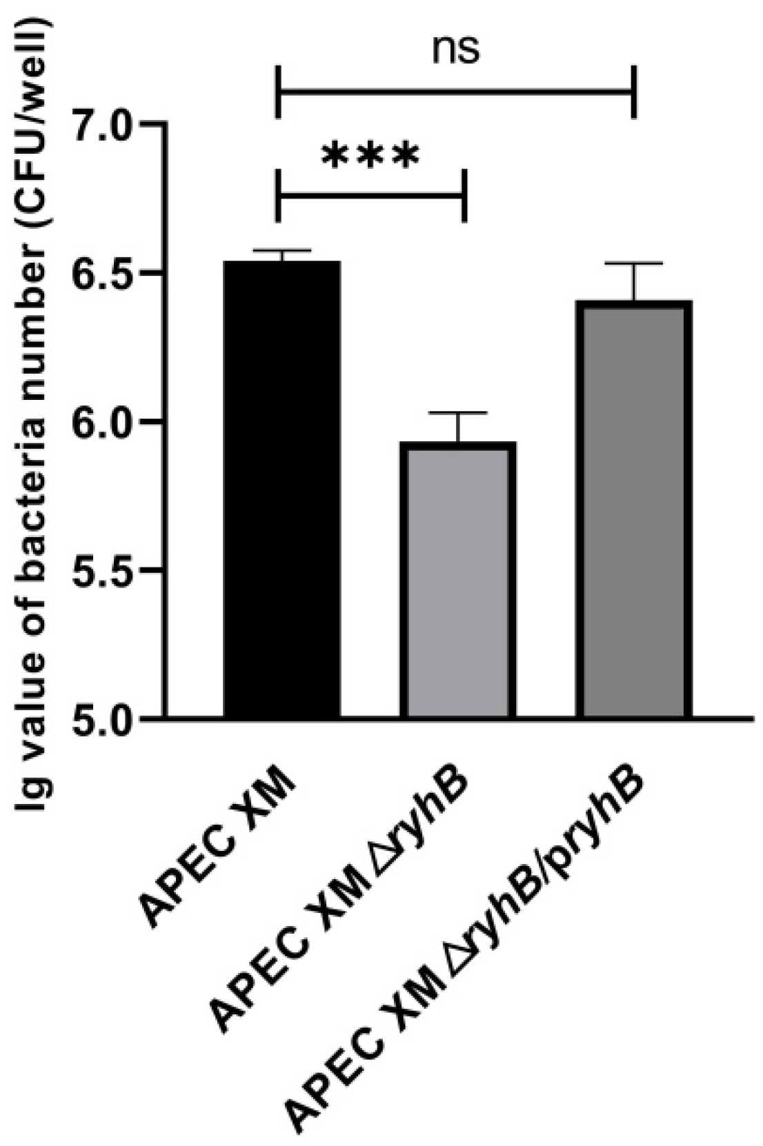 Ijms 23 15532 g002 Ijms 23 15532 g002