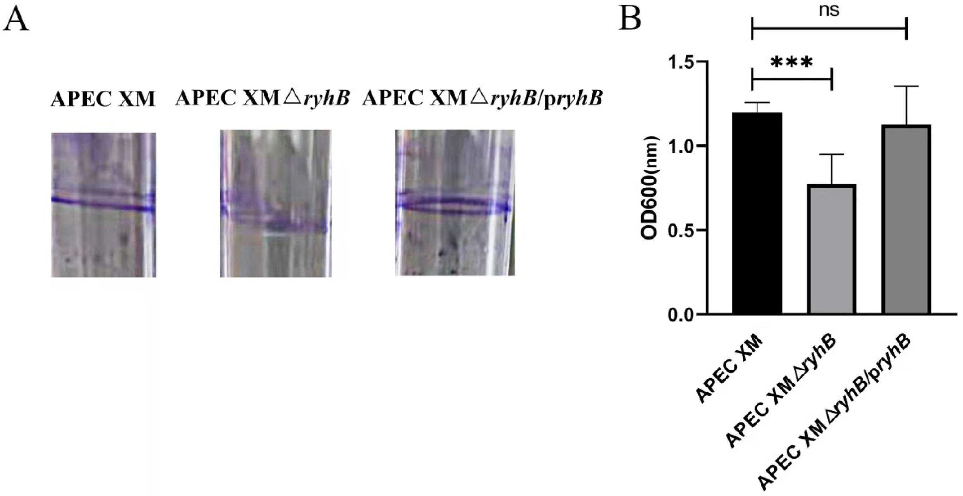 Ijms 23 15532 g003 Ijms 23 15532 g003