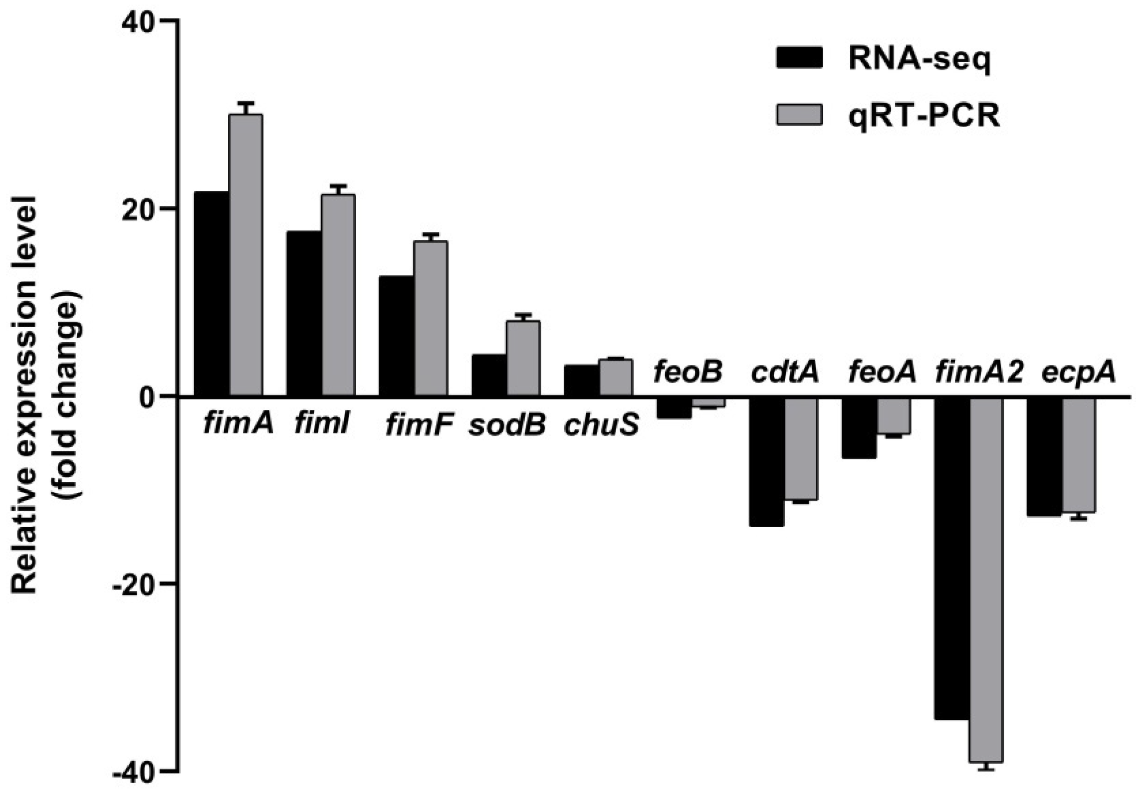 Ijms 23 15532 g004 Ijms 23 15532 g004