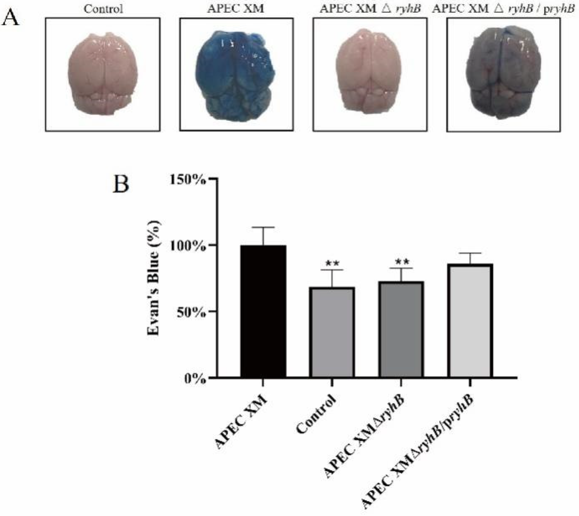 Ijms 23 15532 g010 Ijms 23 15532 g010