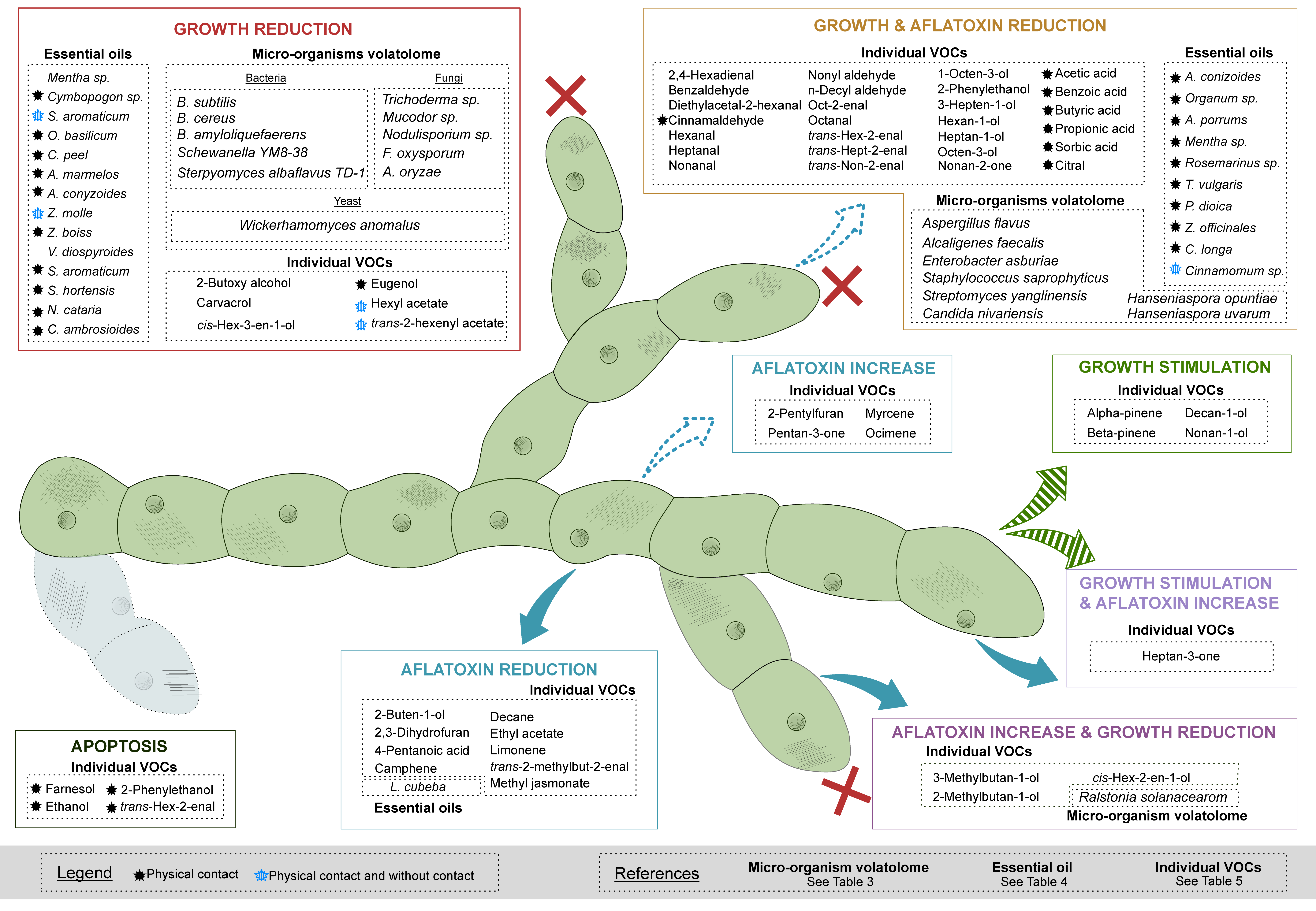Ijms 23 15557 g001 Ijms 23 15557 g001