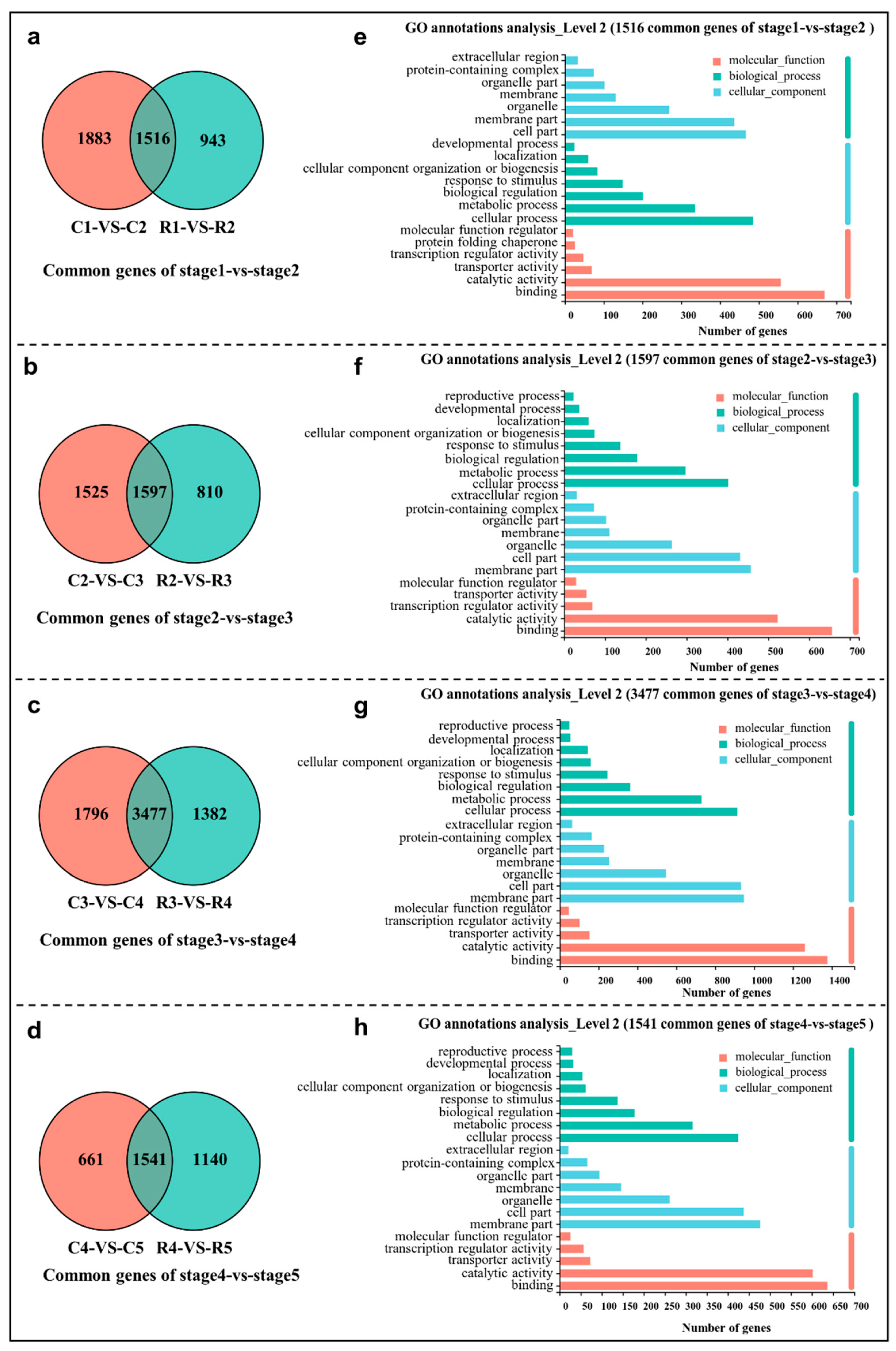 Ijms 23 15562 g002 Ijms 23 15562 g002