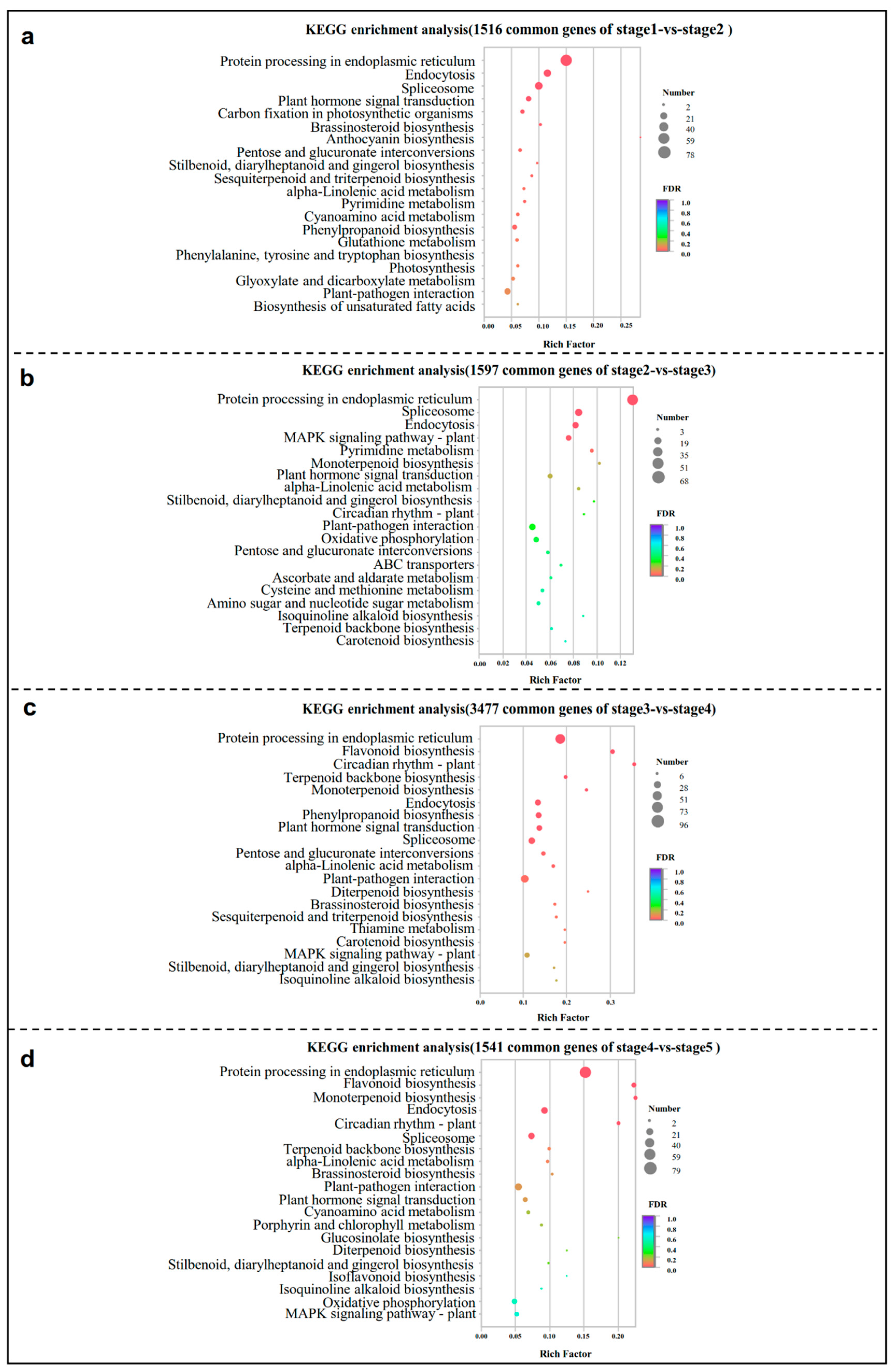 Ijms 23 15562 g003 Ijms 23 15562 g003