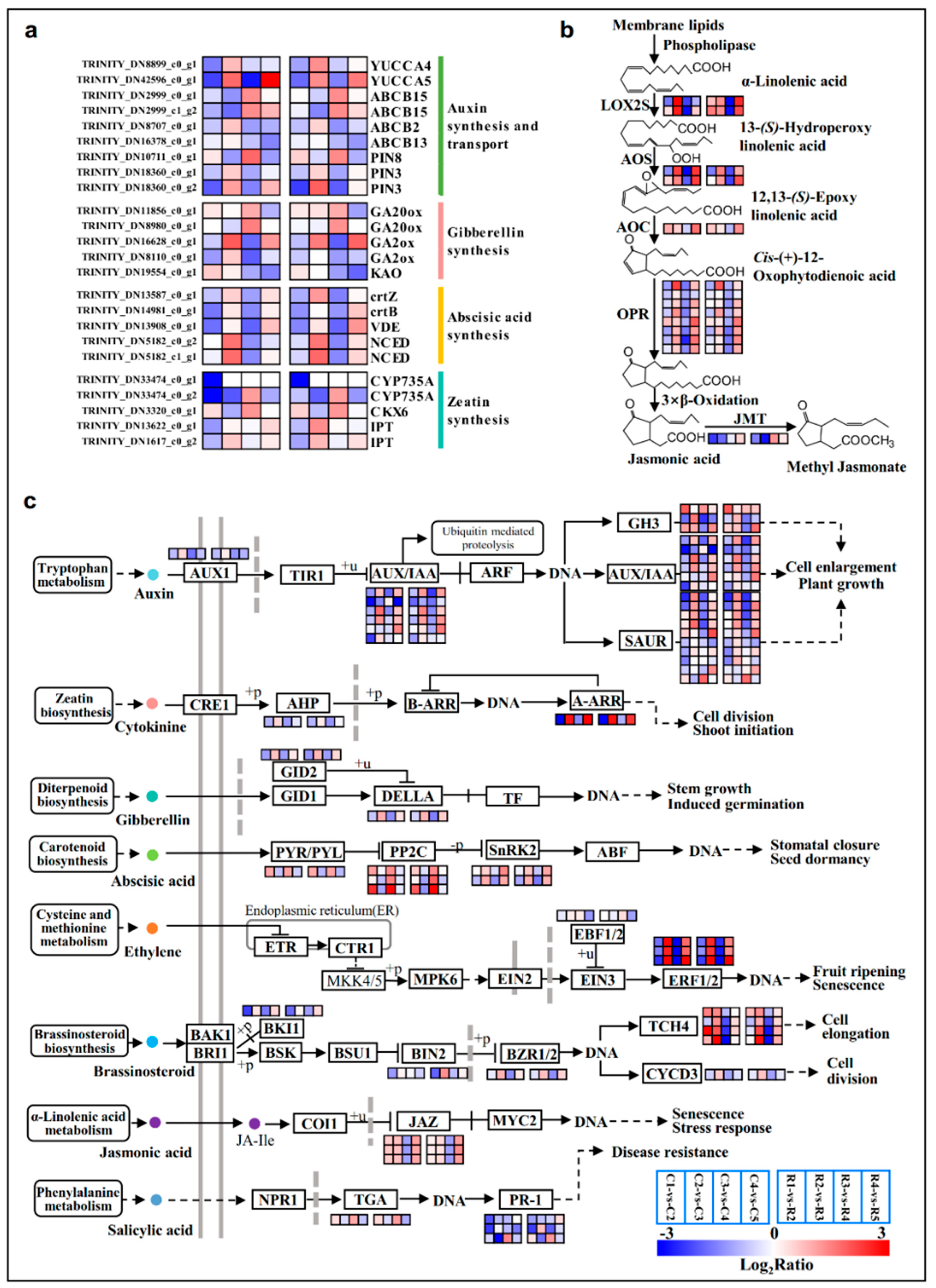 Ijms 23 15562 g006 Ijms 23 15562 g006