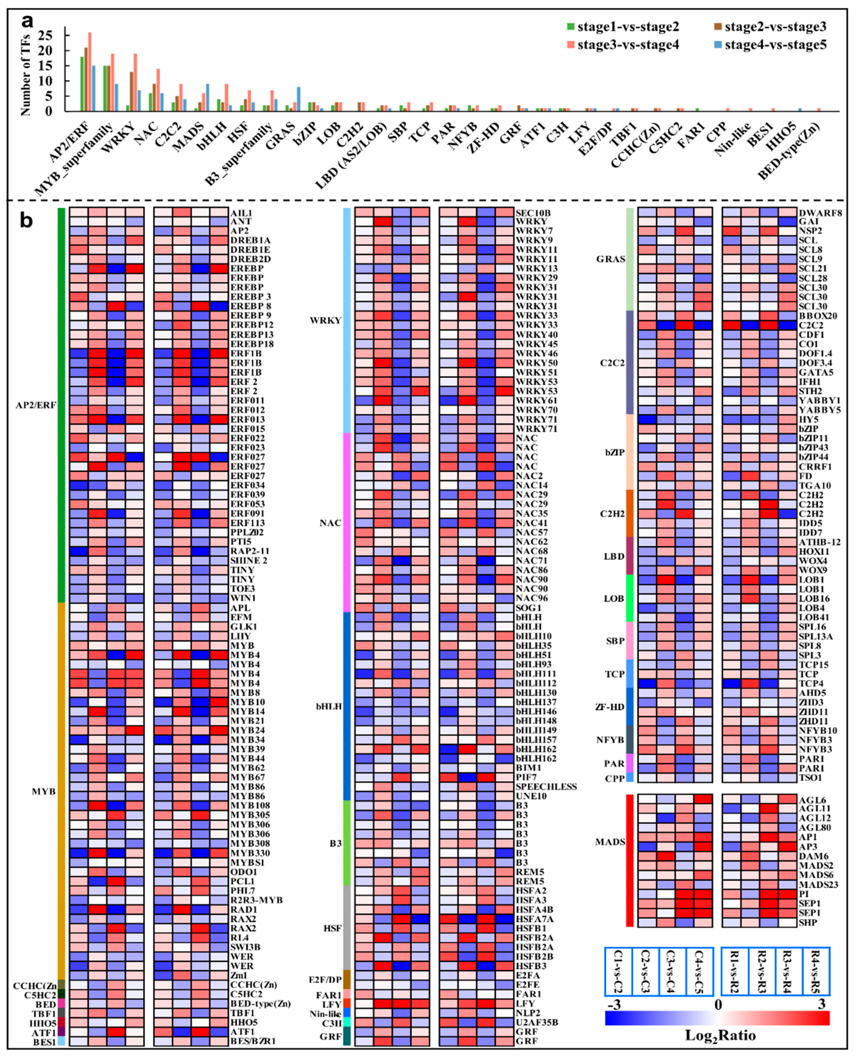 Ijms 23 15562 g007 Ijms 23 15562 g007