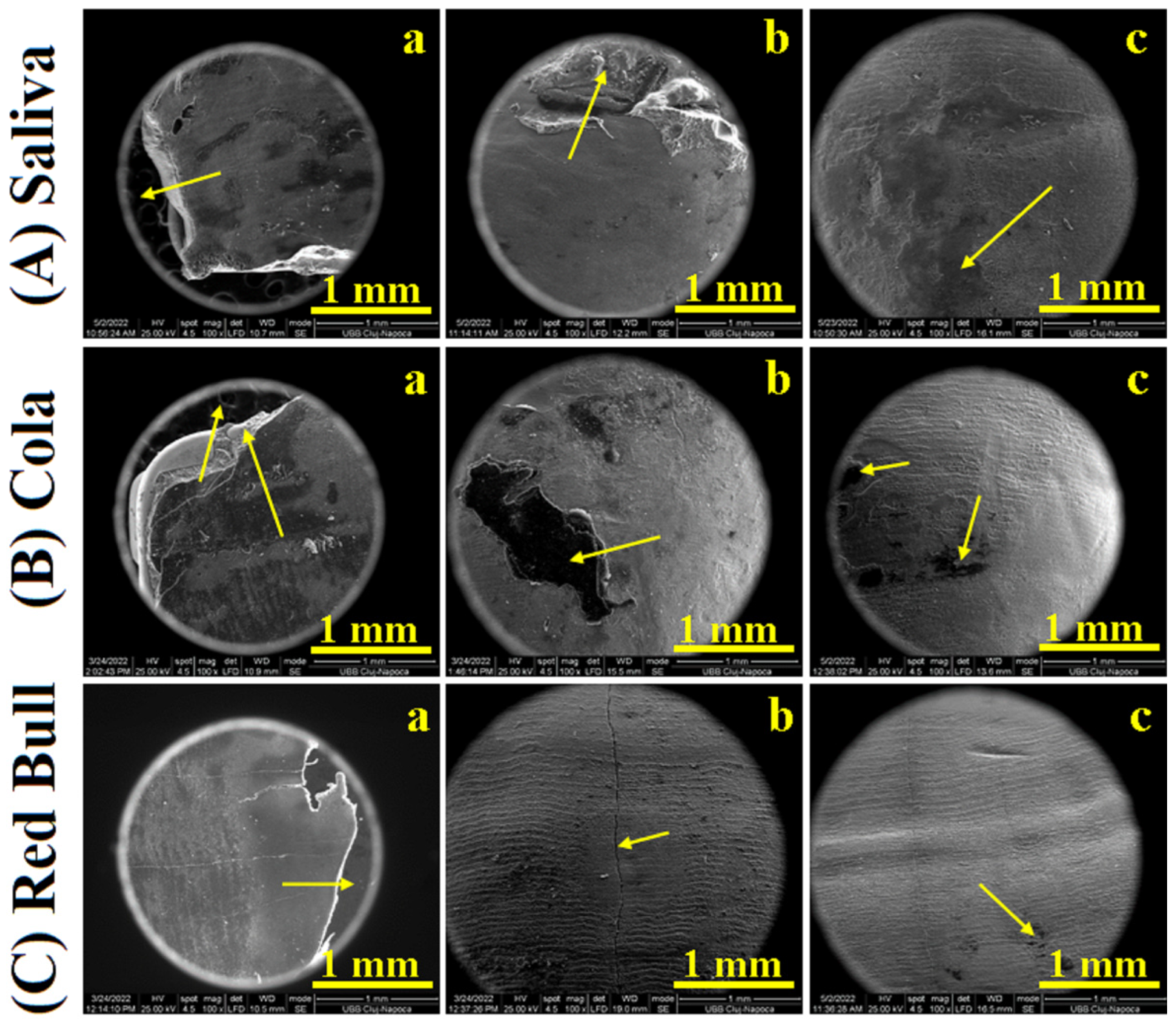 Ijms 23 15583 g001 Ijms 23 15583 g001