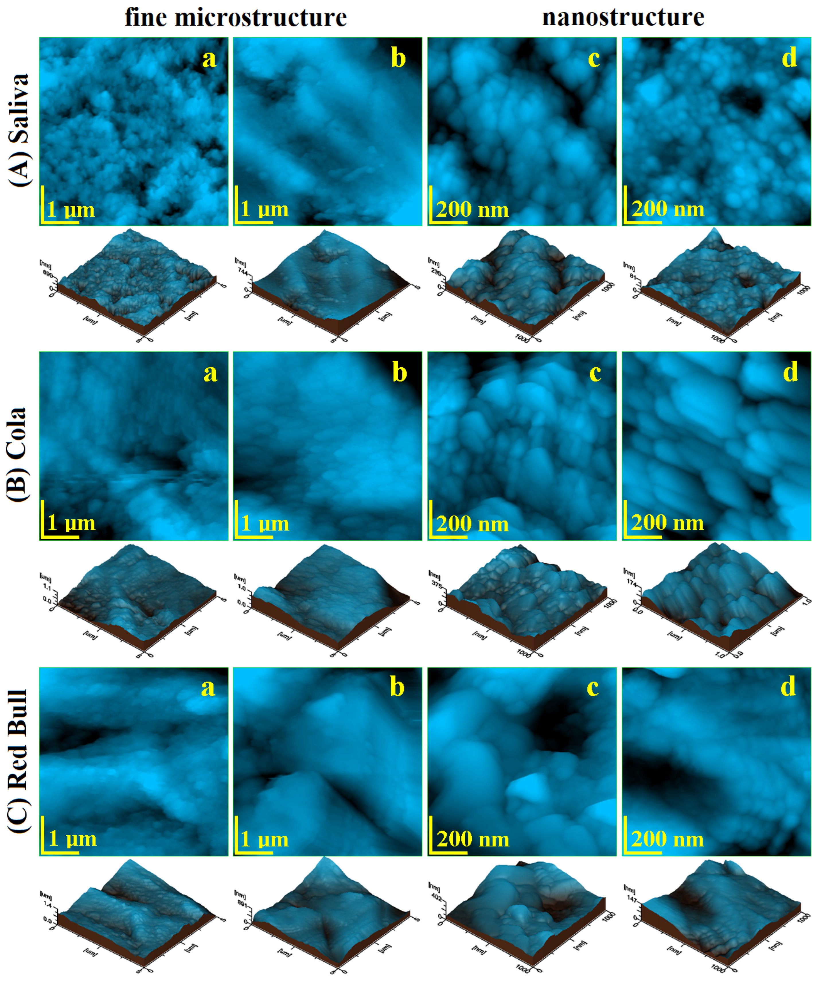 Ijms 23 15583 g003 Ijms 23 15583 g003