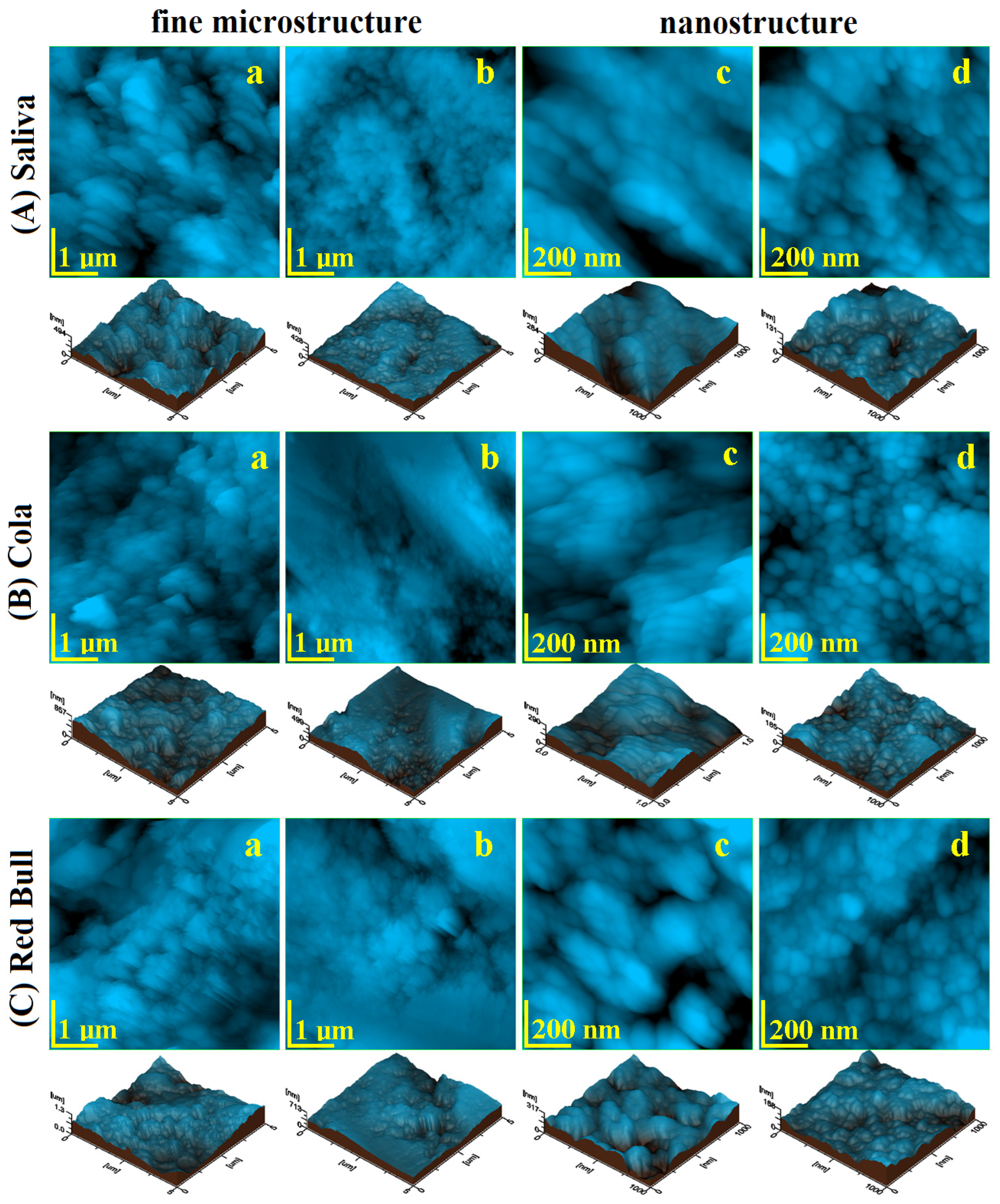Ijms 23 15583 g005 Ijms 23 15583 g005