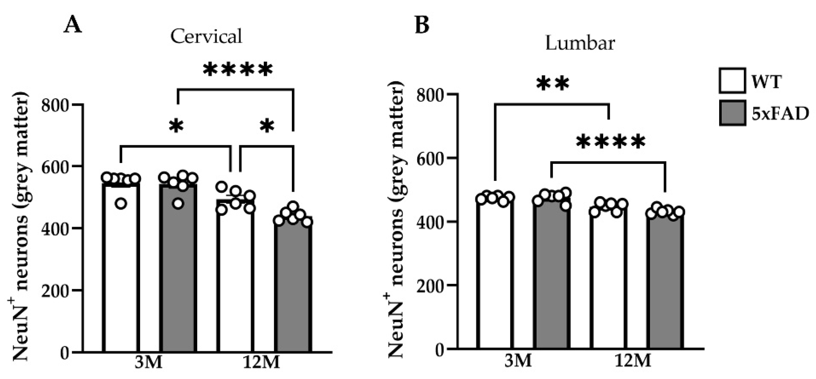 Ijms 23 15597 g002 Ijms 23 15597 g002