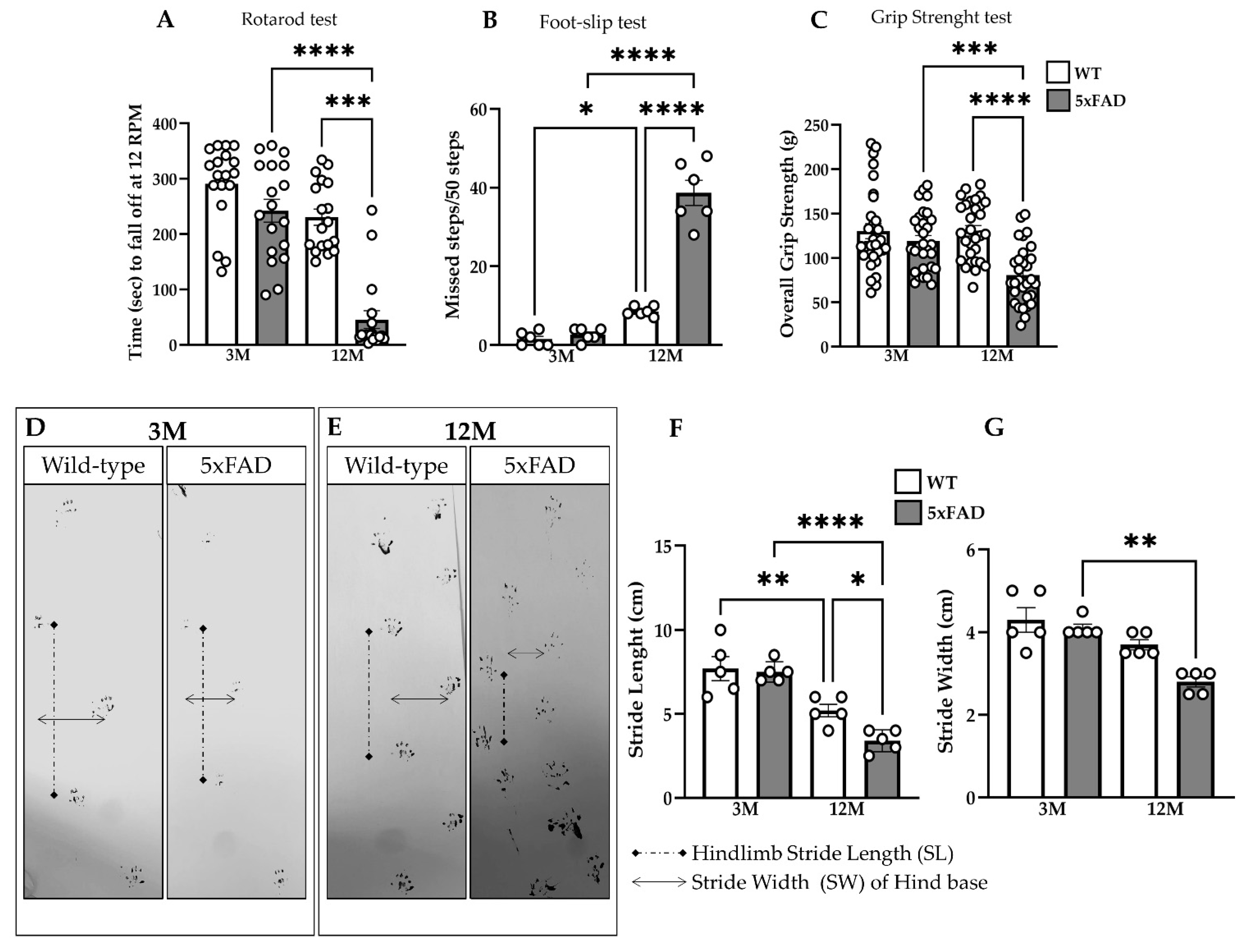 Ijms 23 15597 g003 Ijms 23 15597 g003