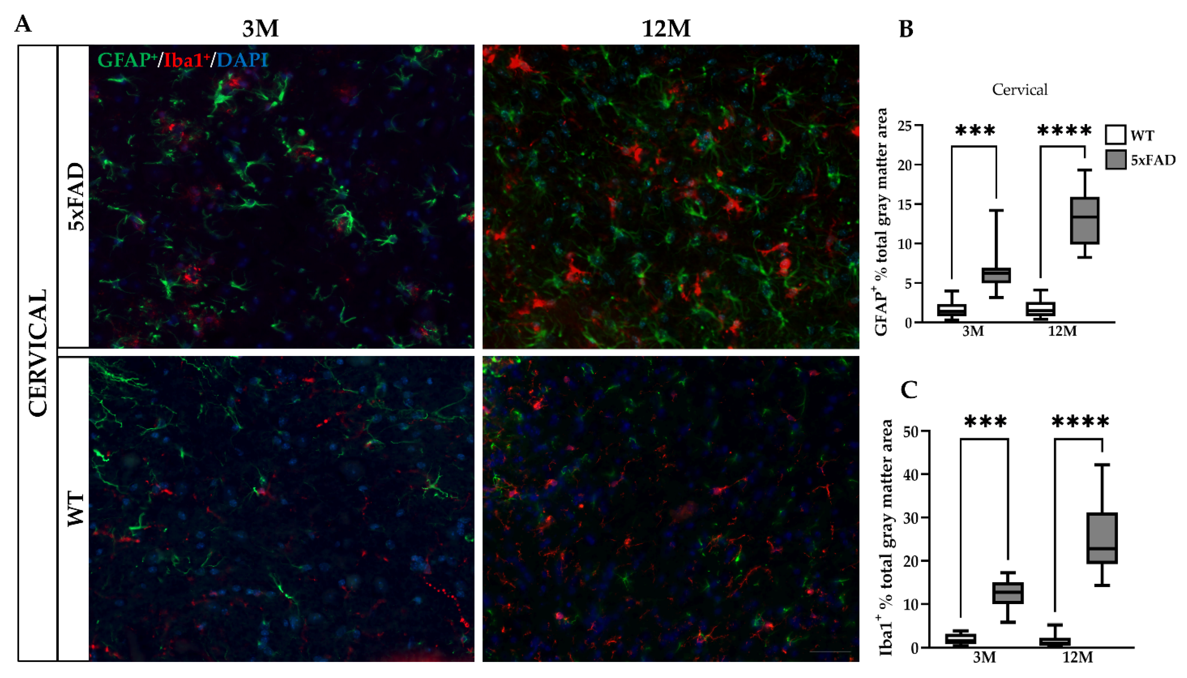 Ijms 23 15597 g004a Ijms 23 15597 g004a