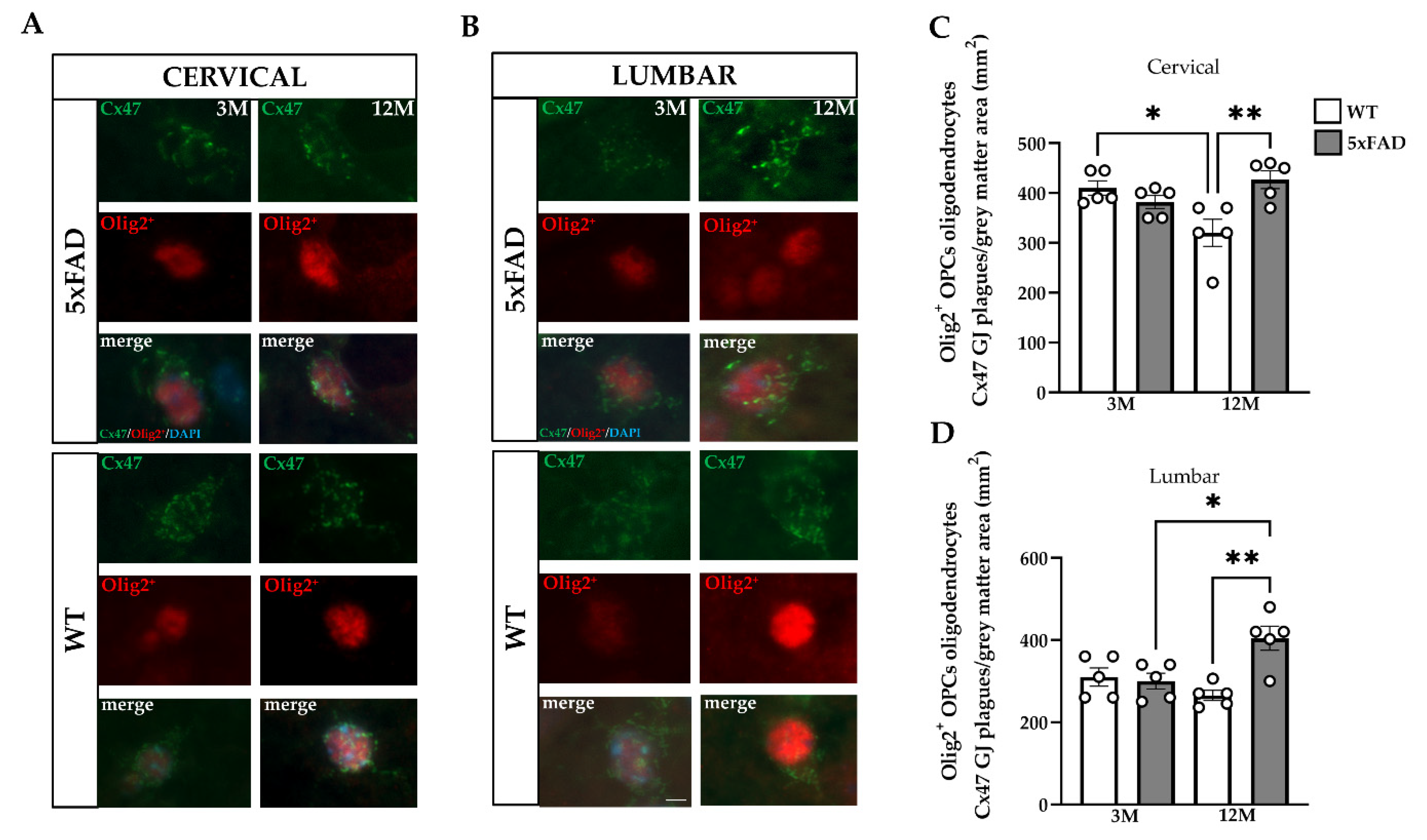 Ijms 23 15597 g008 Ijms 23 15597 g008
