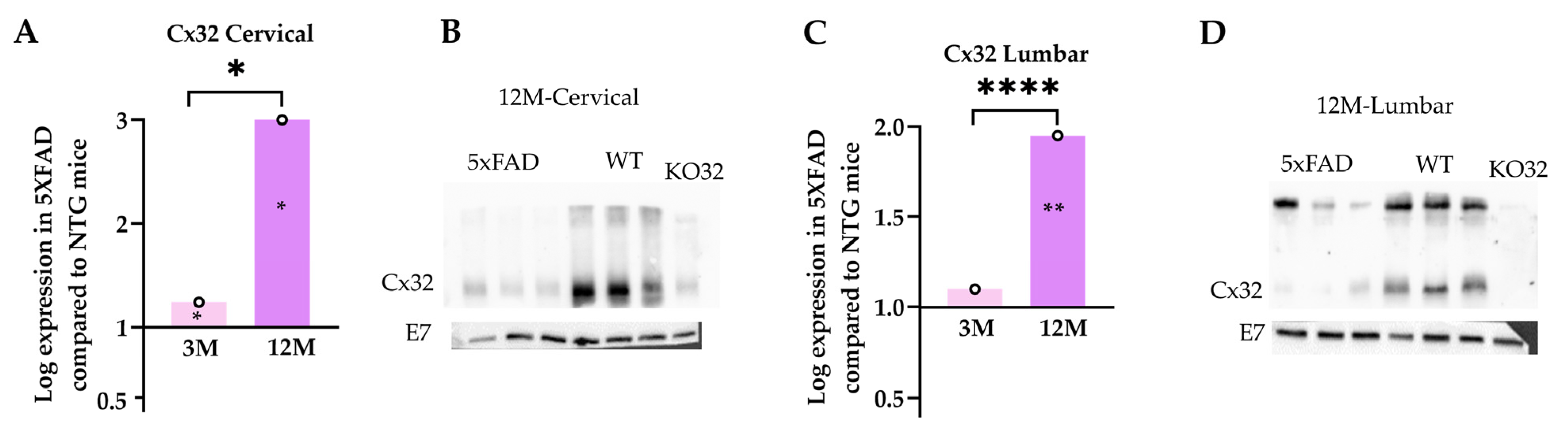 Ijms 23 15597 g011 Ijms 23 15597 g011