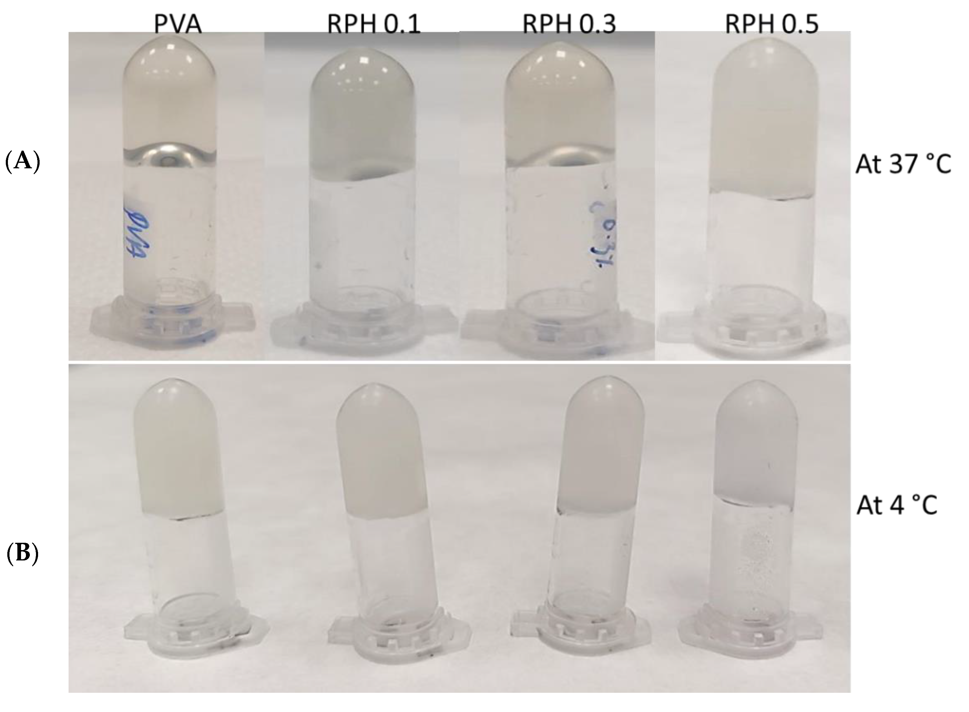 Ijms 23 15623 g003 Ijms 23 15623 g003