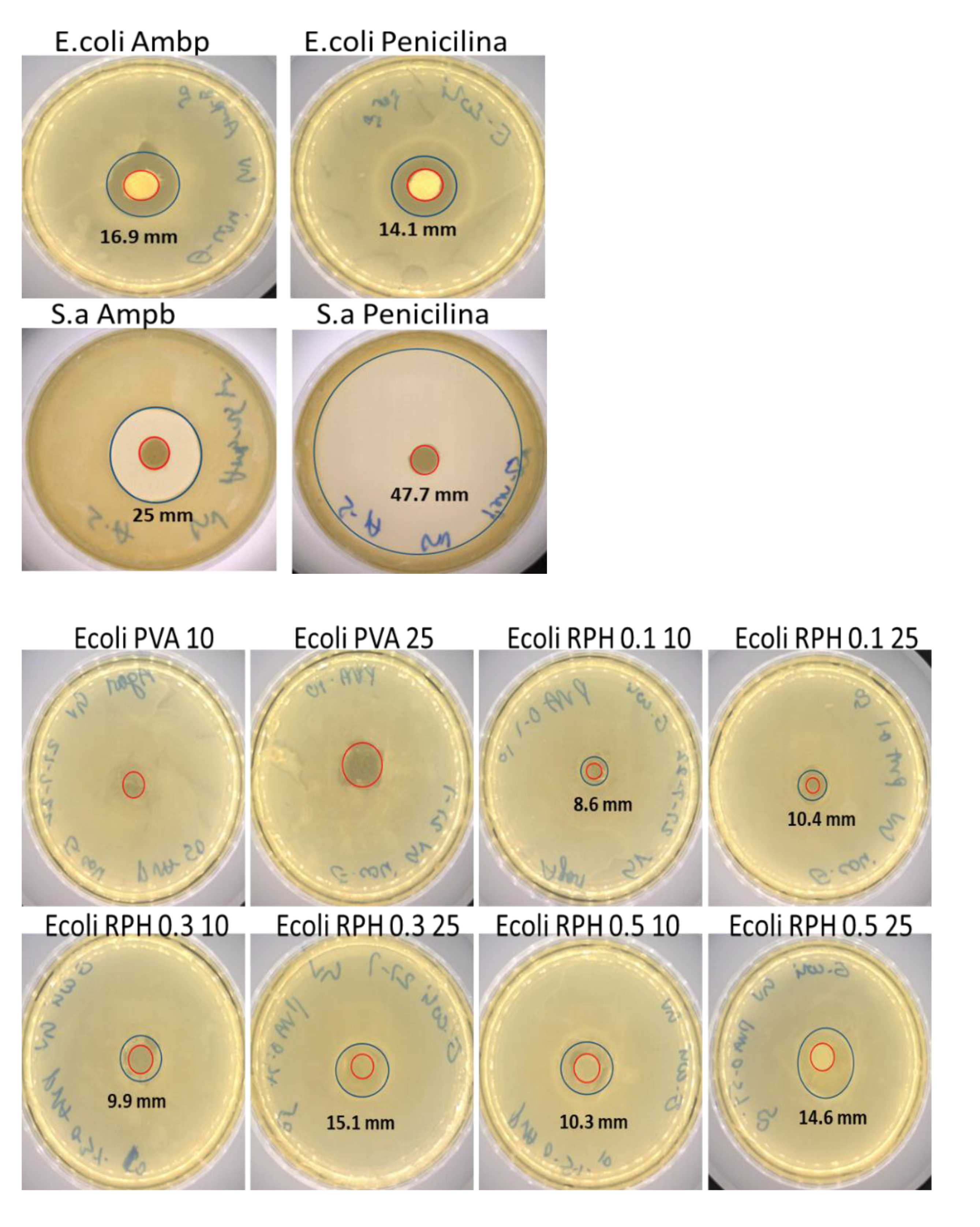 Ijms 23 15623 g005a Ijms 23 15623 g005a
