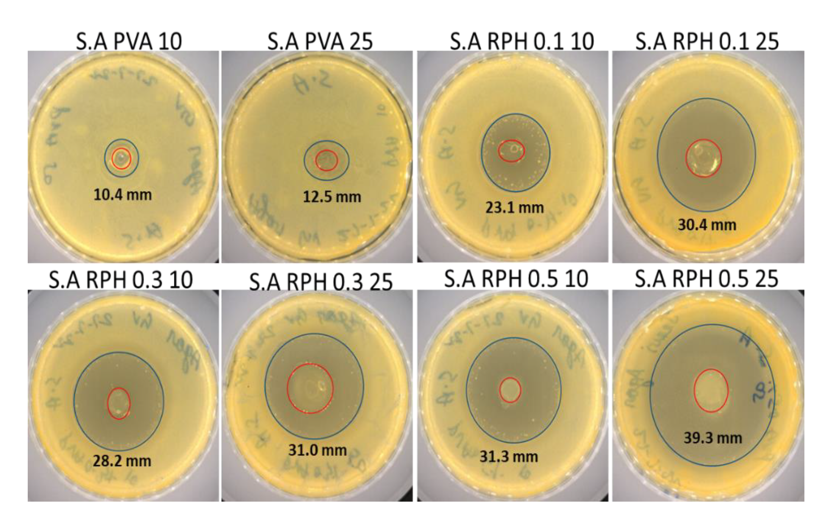 Ijms 23 15623 g005b Ijms 23 15623 g005b