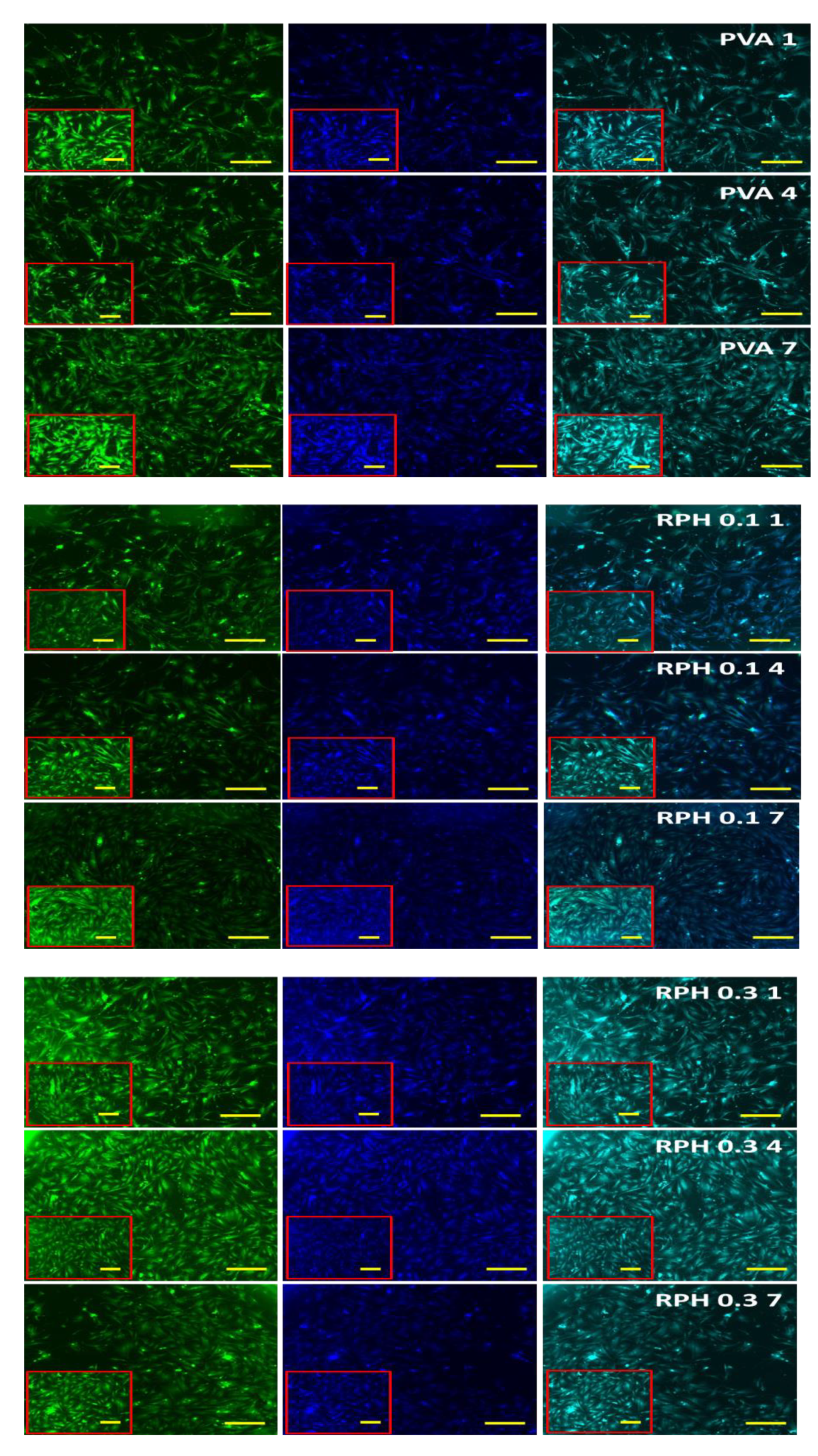 Ijms 23 15623 g008b Ijms 23 15623 g008b