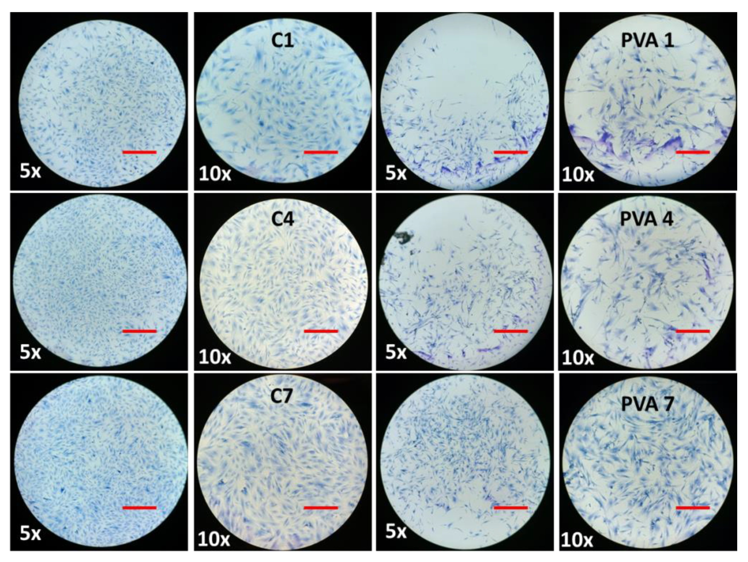 Ijms 23 15623 g009a Ijms 23 15623 g009a