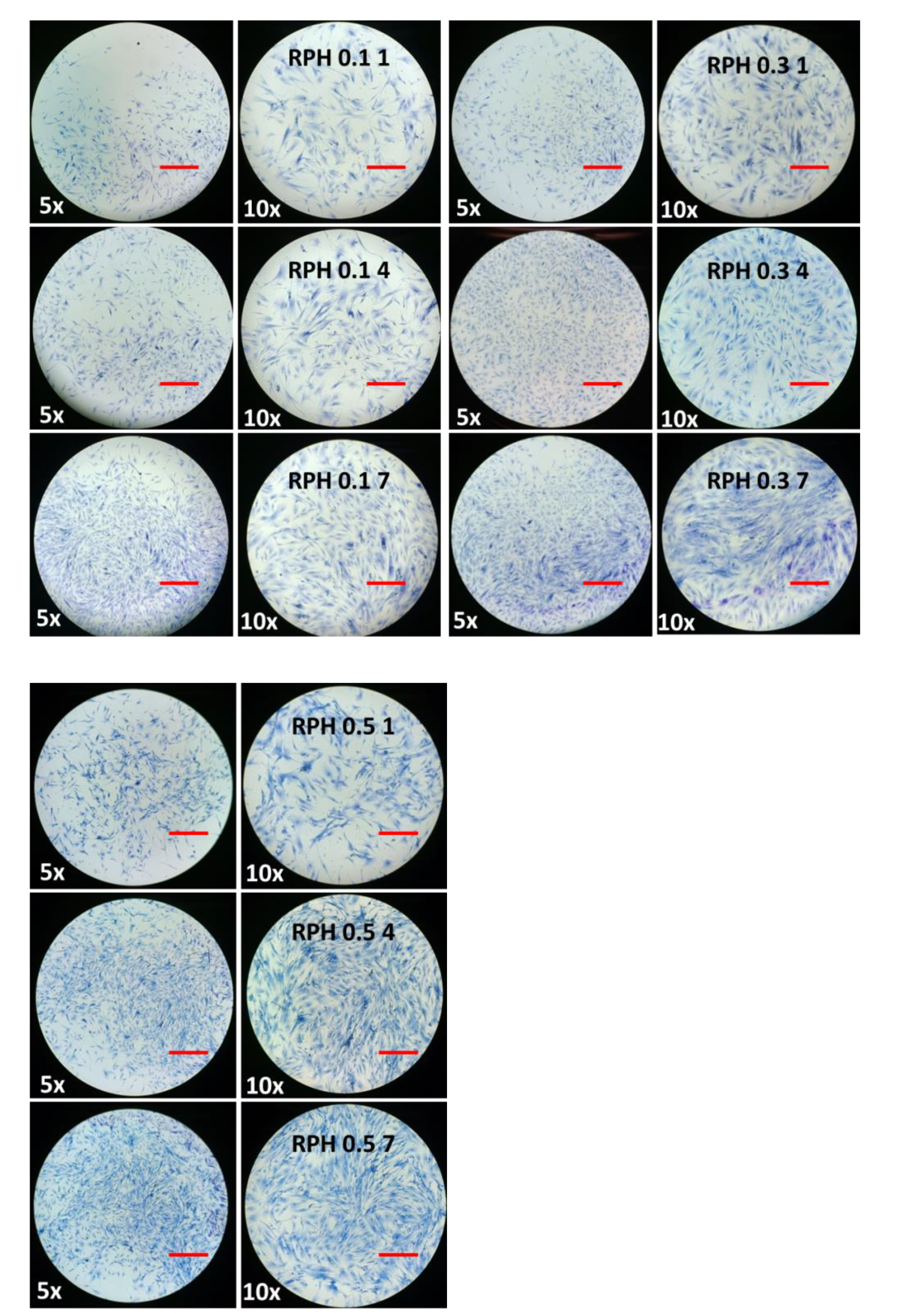 Ijms 23 15623 g009b Ijms 23 15623 g009b