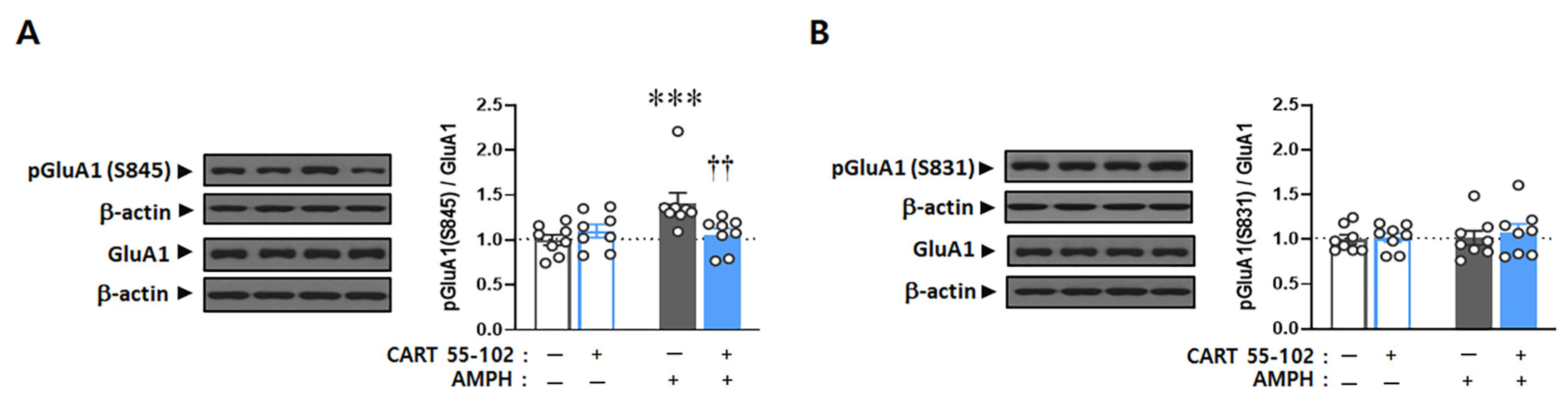 Ijms 23 15633 g003 Ijms 23 15633 g003