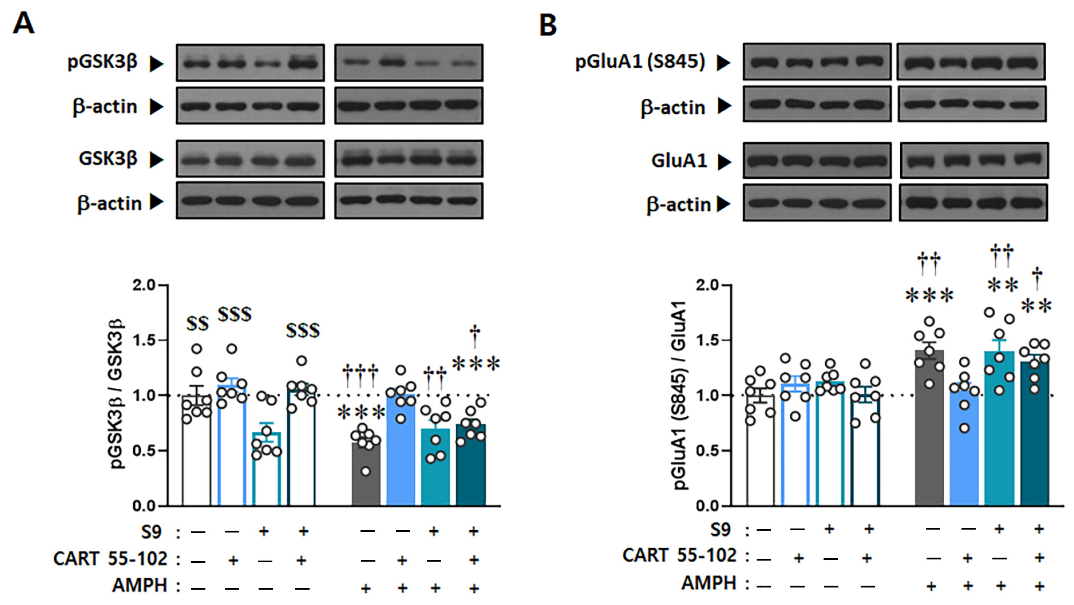 Ijms 23 15633 g005 Ijms 23 15633 g005