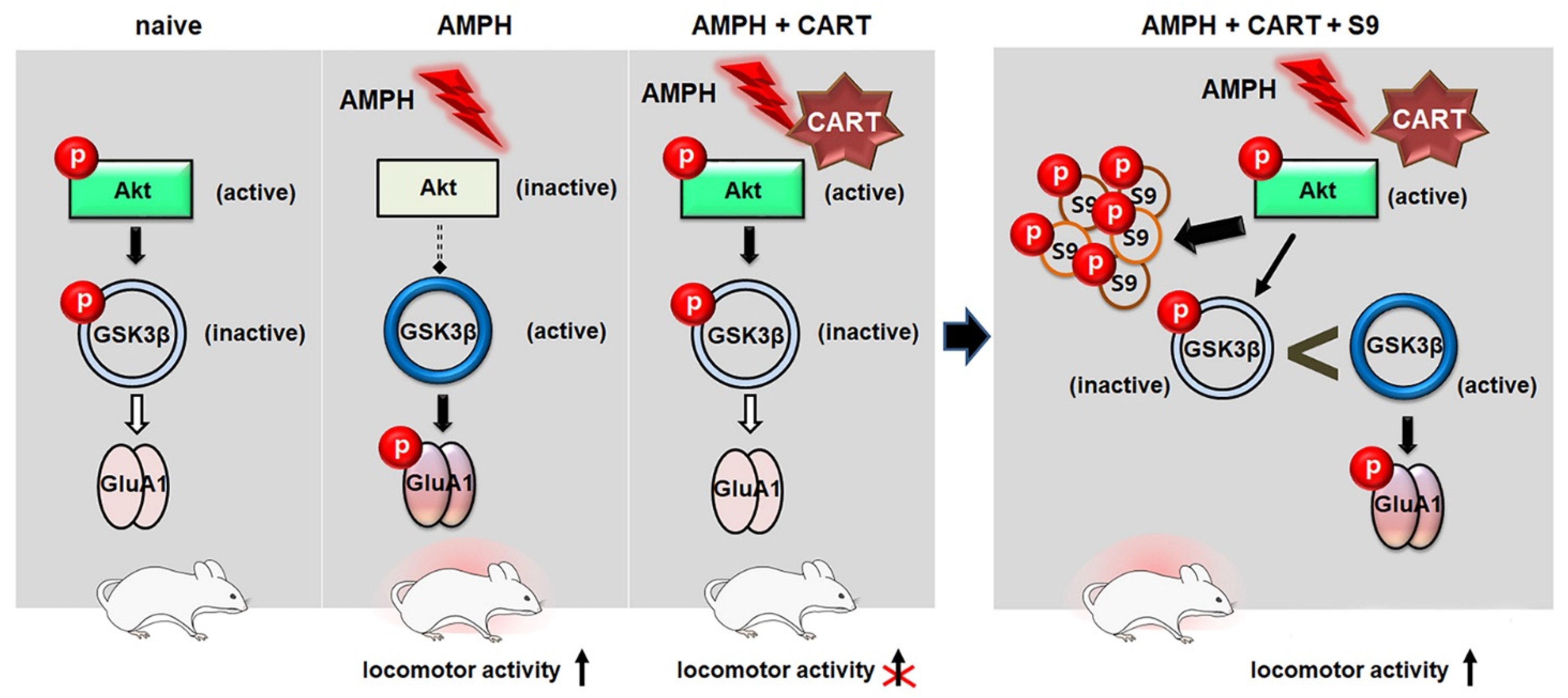 Ijms 23 15633 g006 Ijms 23 15633 g006
