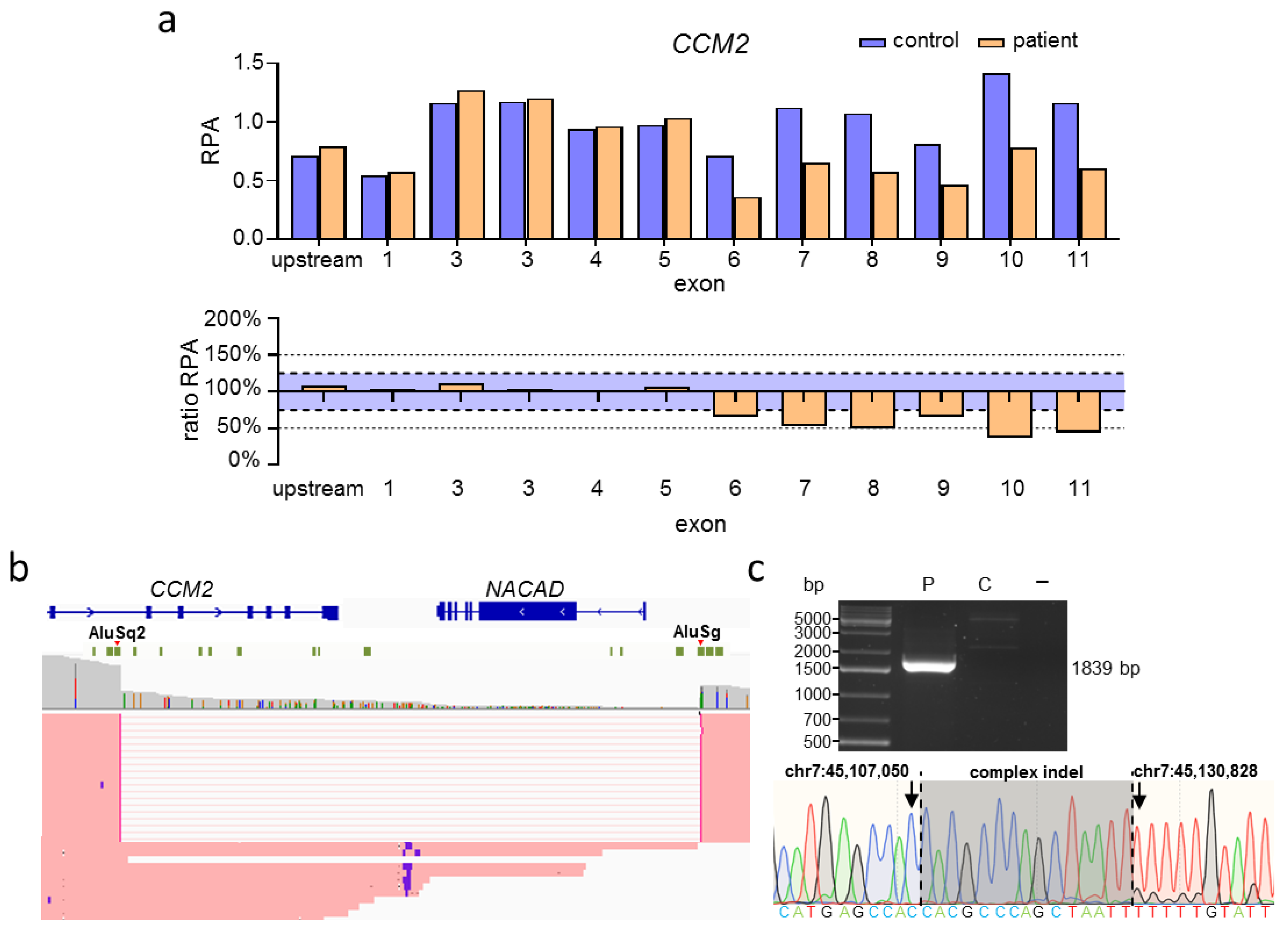 Ijms 23 15639 g003 Ijms 23 15639 g003