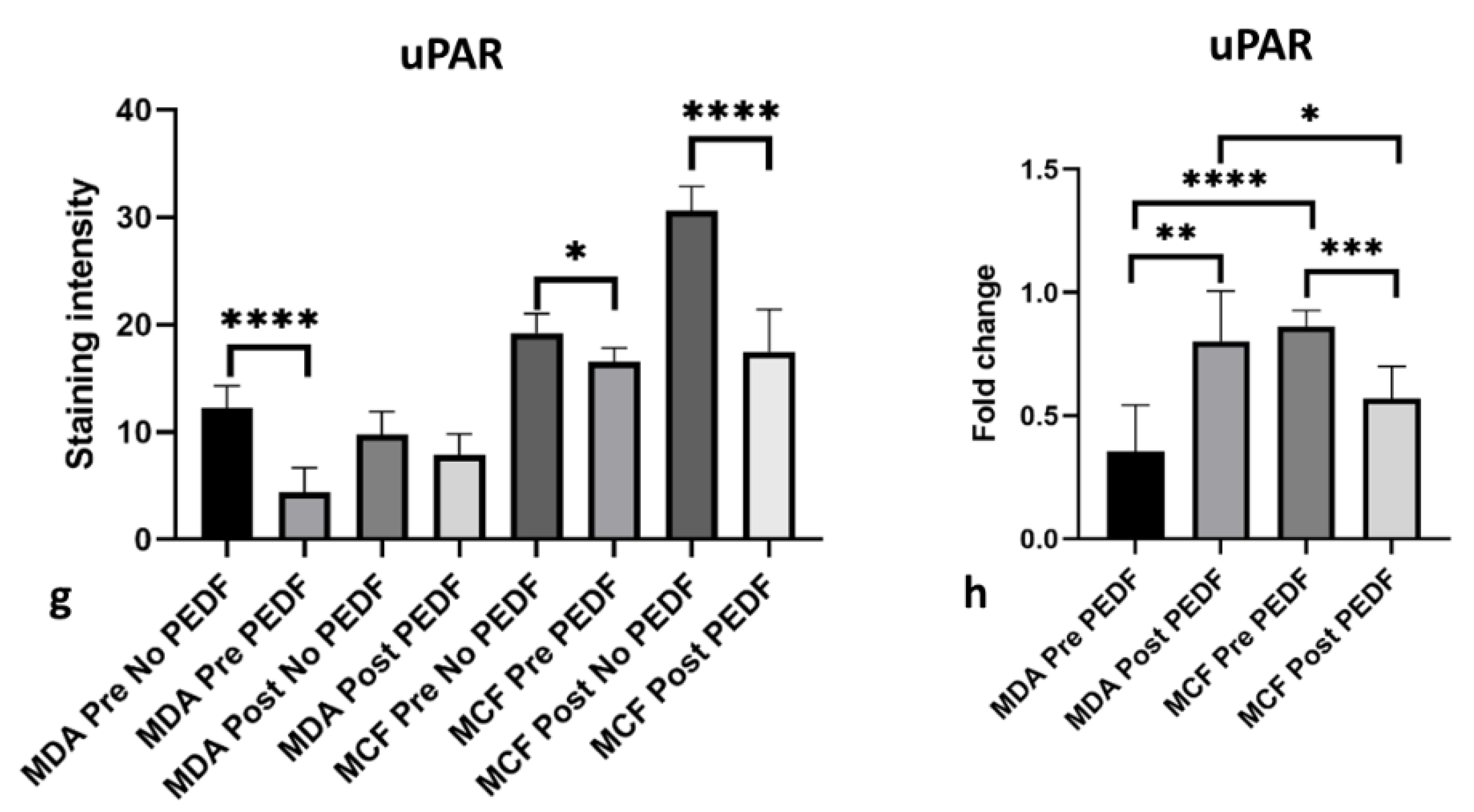 Ijms 23 15641 g001c Ijms 23 15641 g001c
