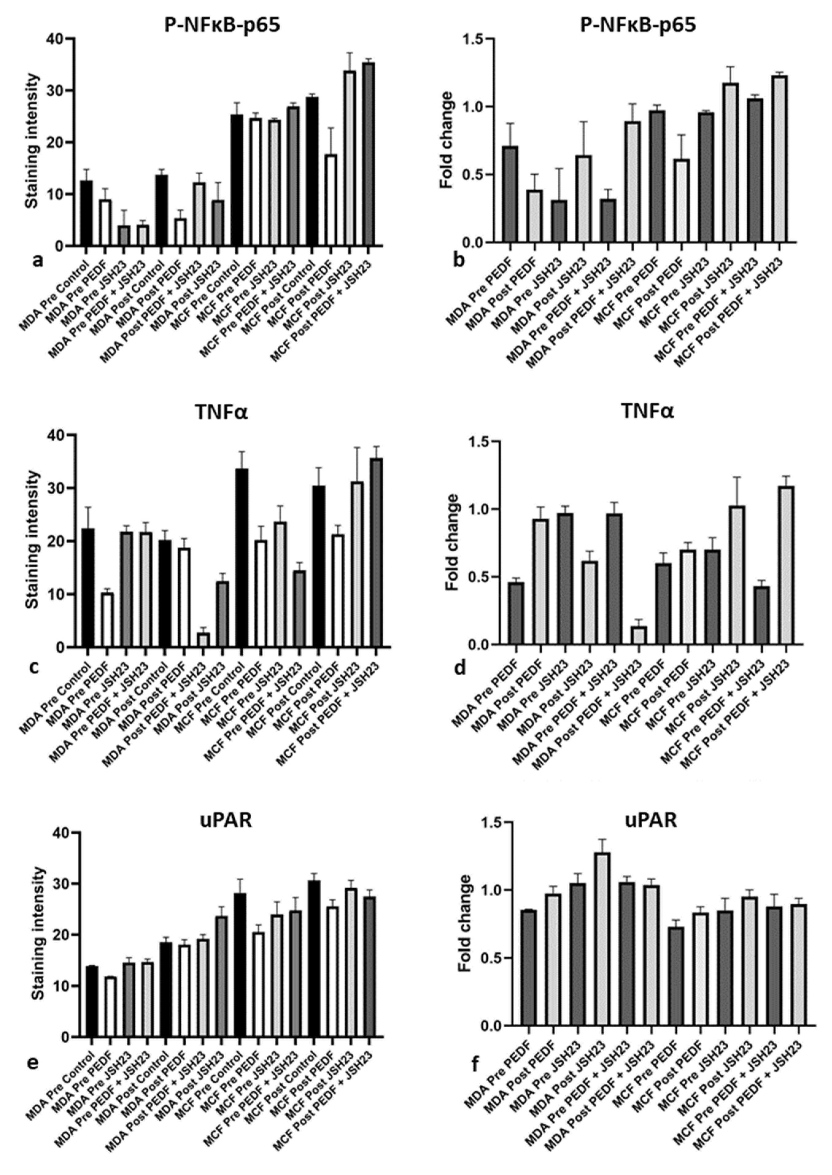 Ijms 23 15641 g003b Ijms 23 15641 g003b
