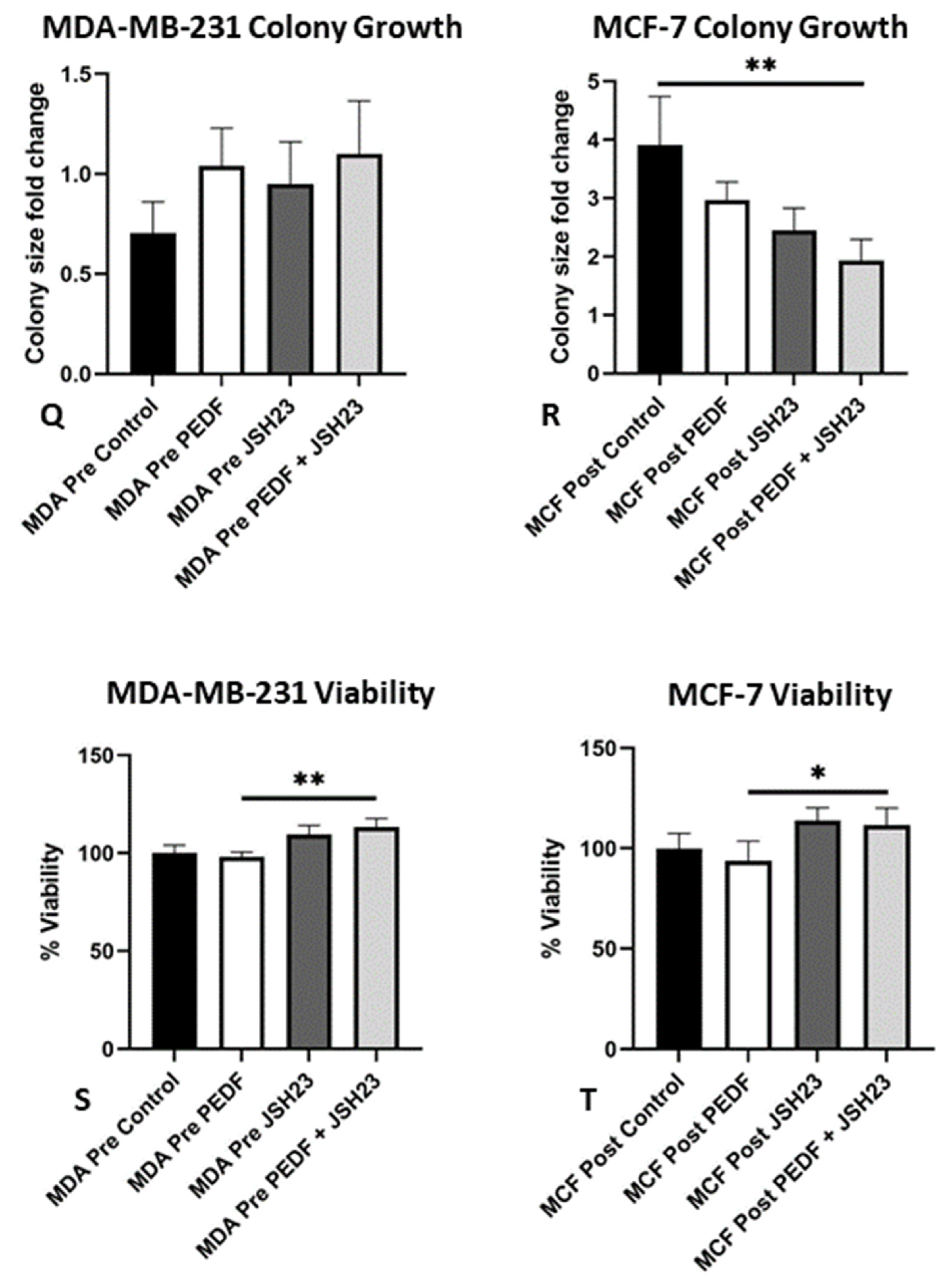 Ijms 23 15641 g004b Ijms 23 15641 g004b