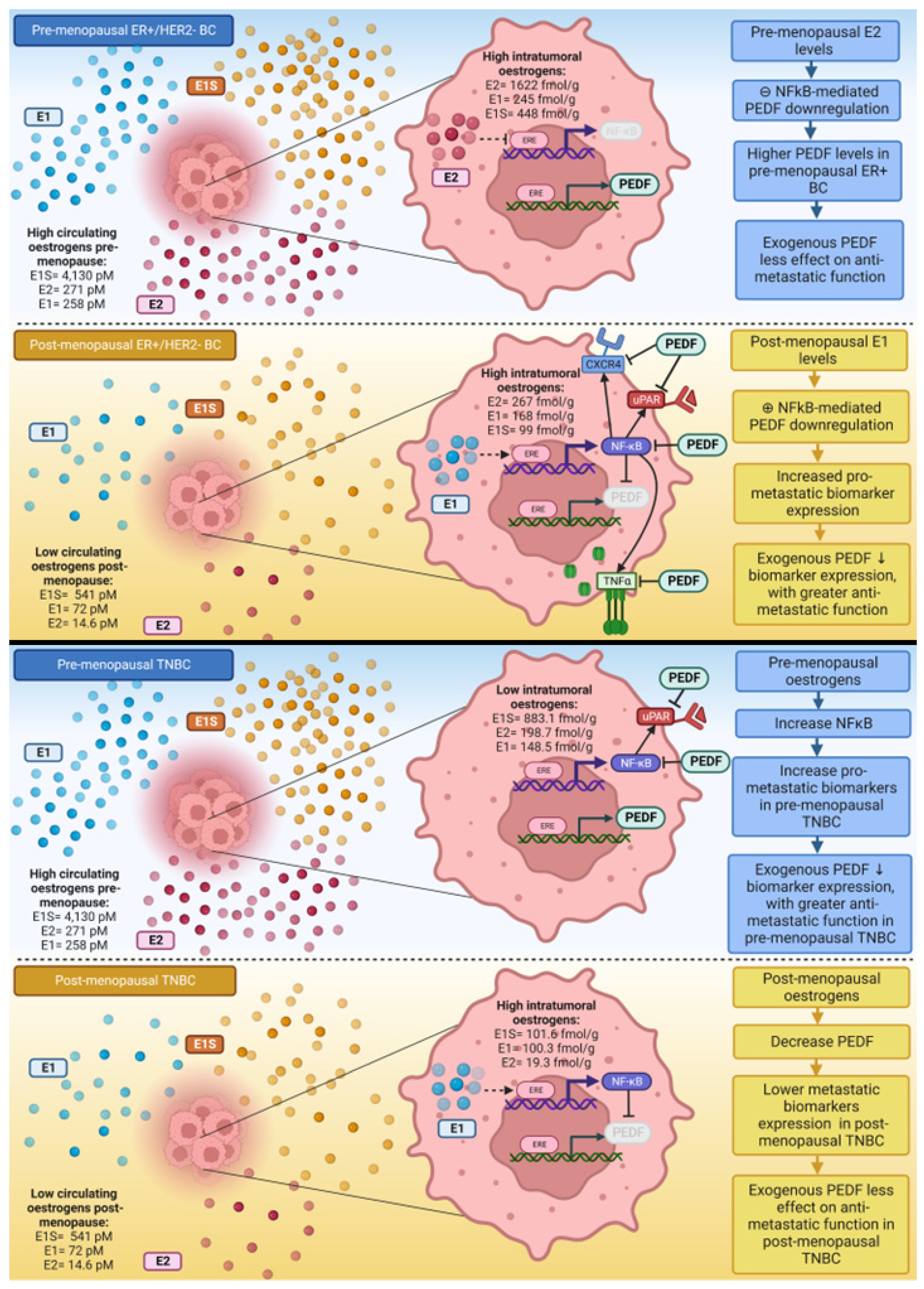 Ijms 23 15641 g006 Ijms 23 15641 g006