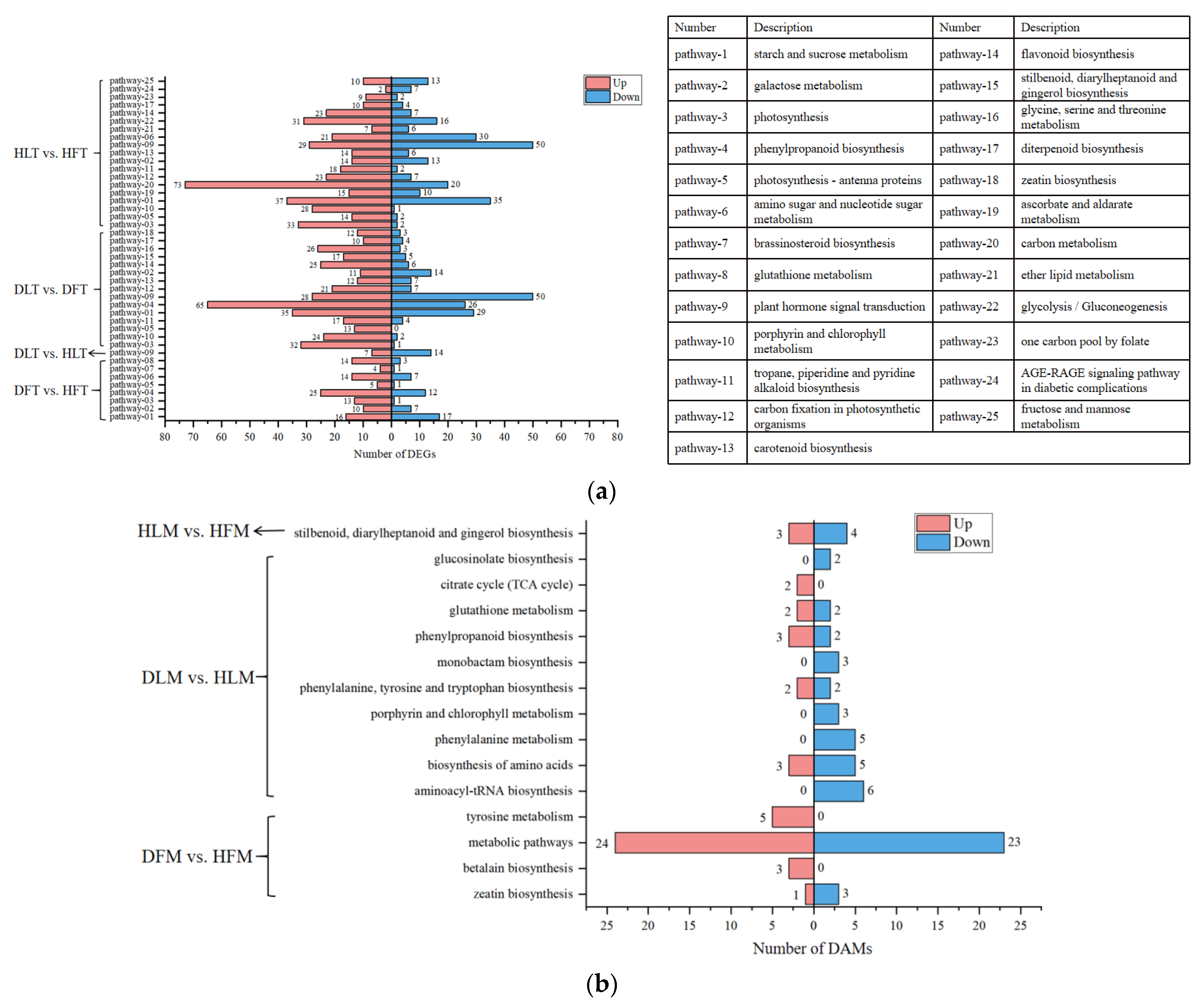 Ijms 23 15648 g005 Ijms 23 15648 g005