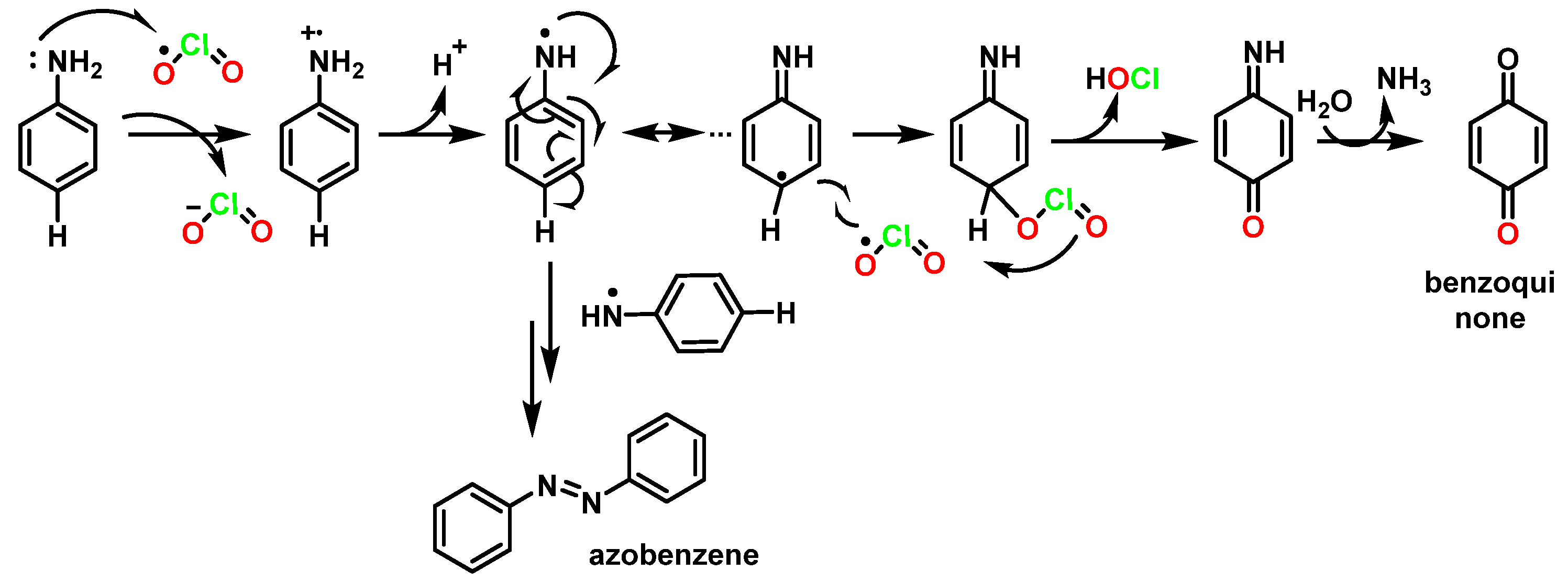 Ijms 23 15660 g032 Ijms 23 15660 g032