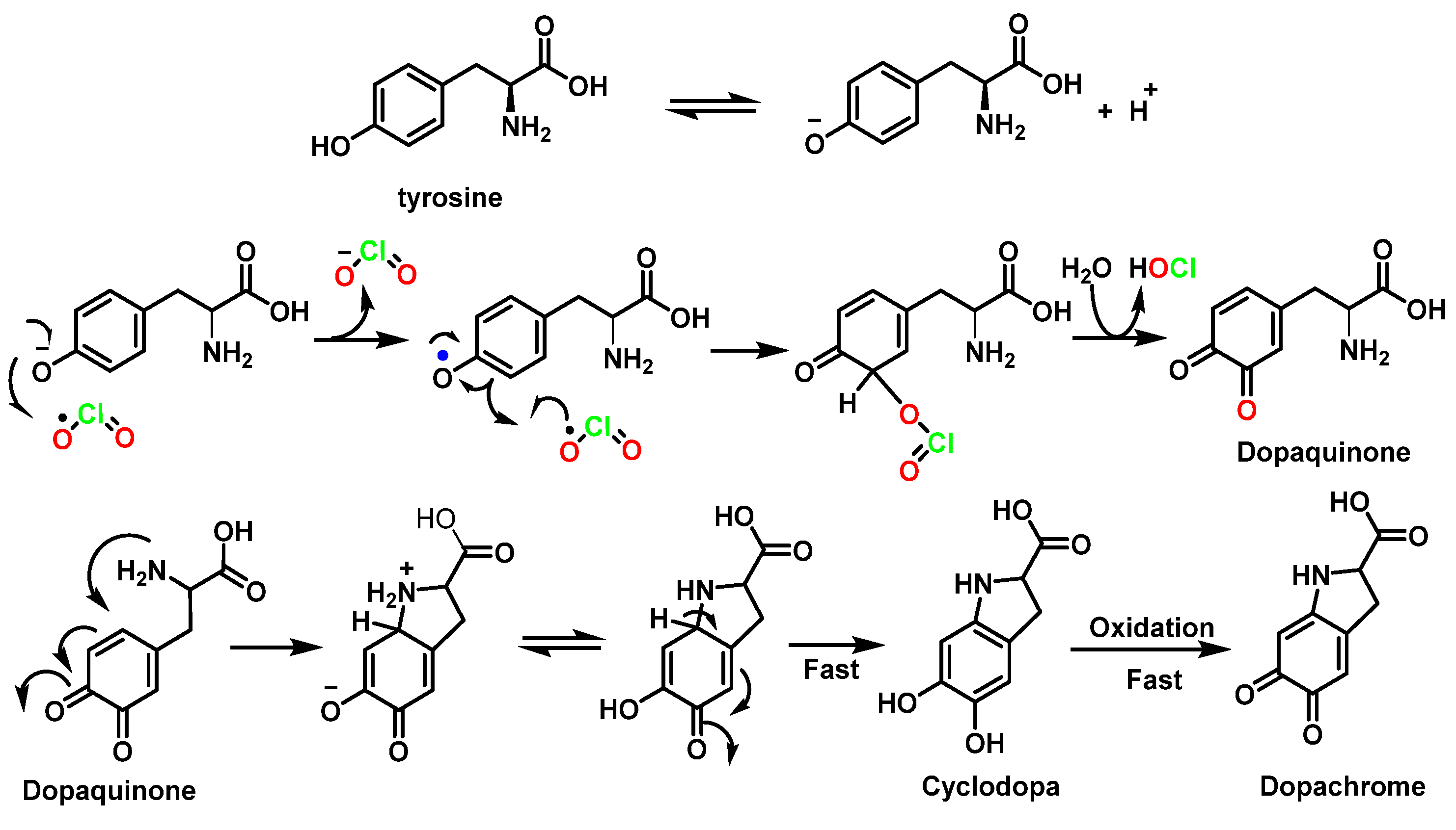 Ijms 23 15660 g038 Ijms 23 15660 g038