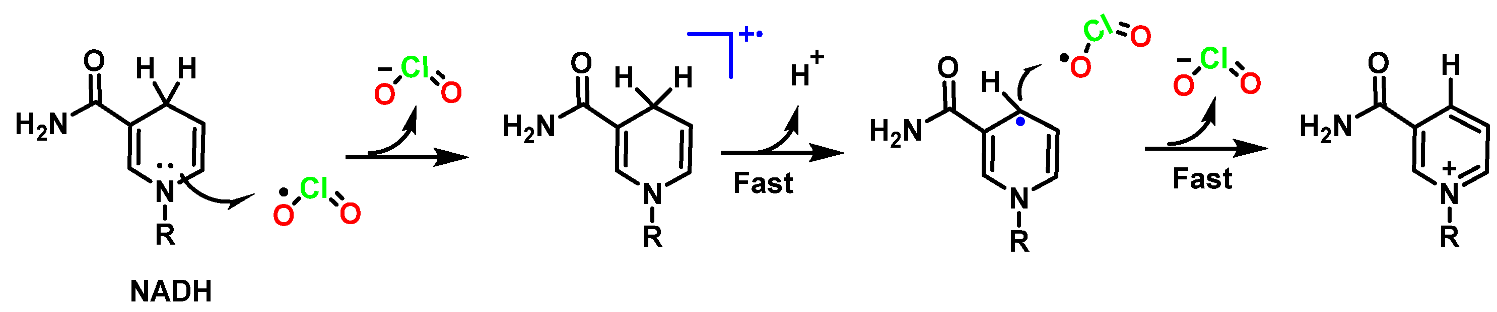 Ijms 23 15660 g042 Ijms 23 15660 g042