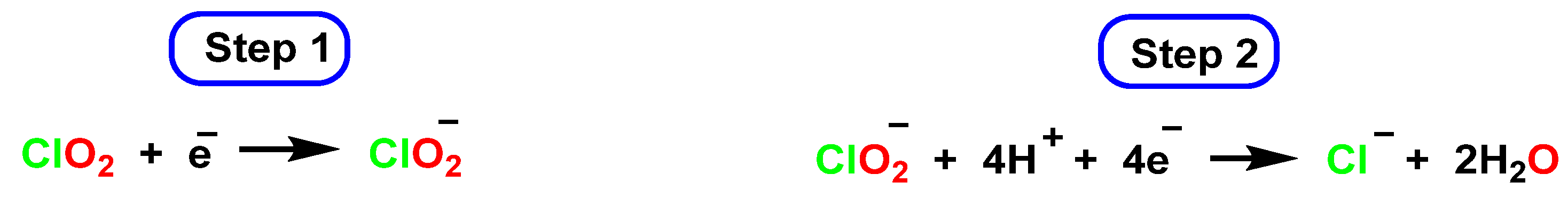 Ijms 23 15660 g047 Ijms 23 15660 g047