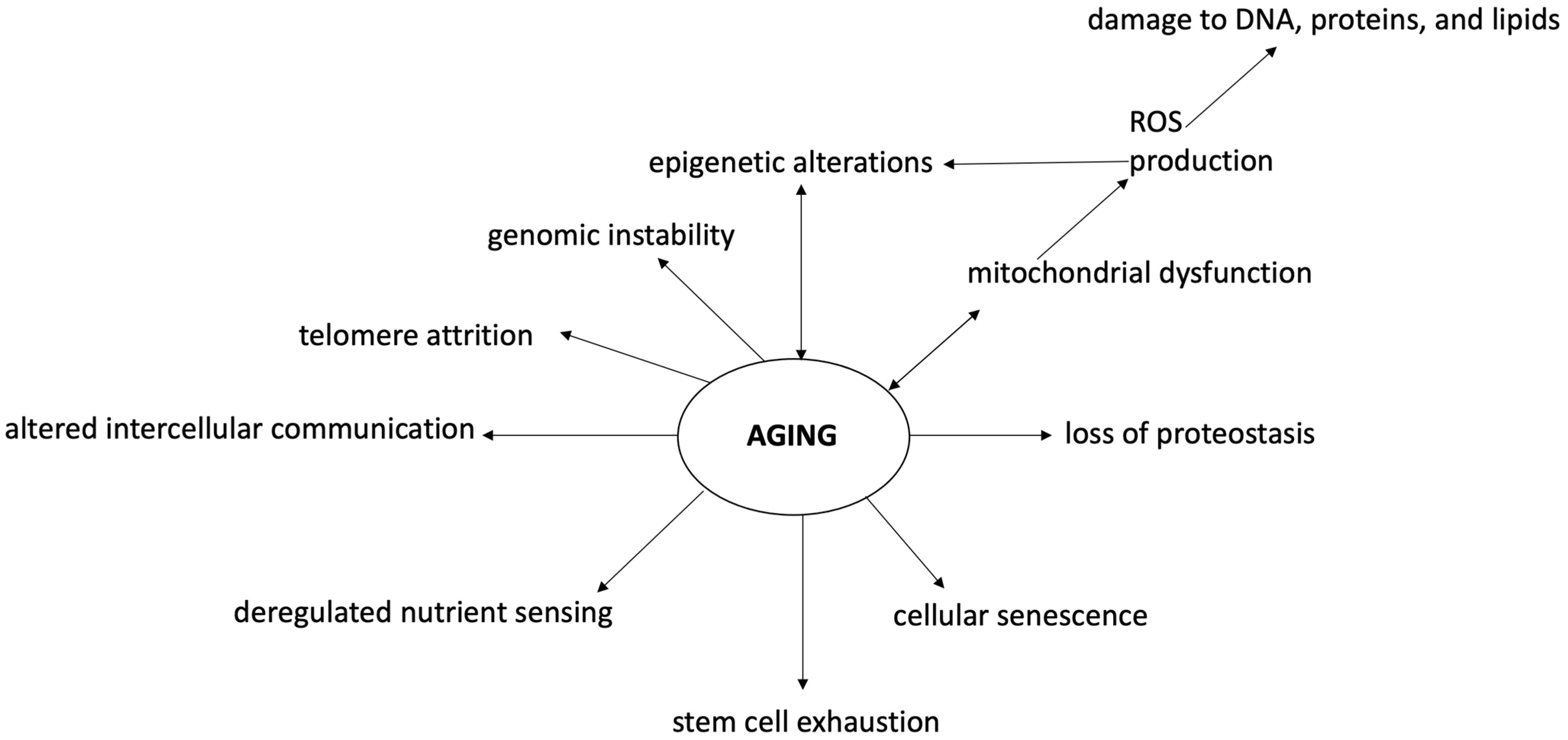 Ijms 23 15674 g002 Ijms 23 15674 g002