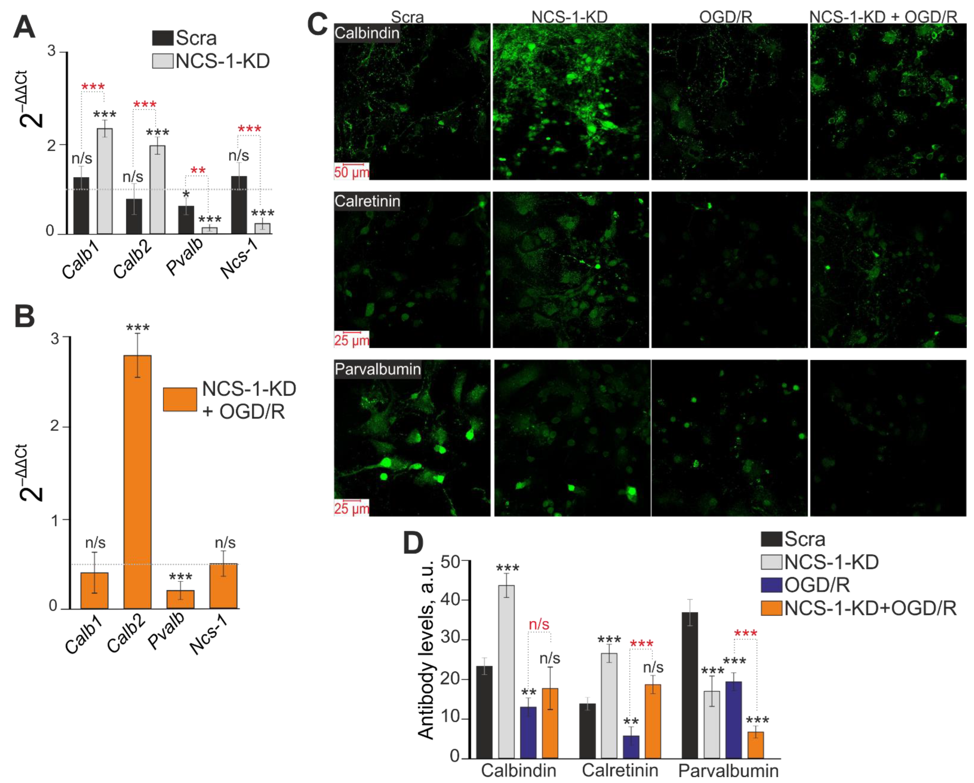 Ijms 23 15675 g006 Ijms 23 15675 g006