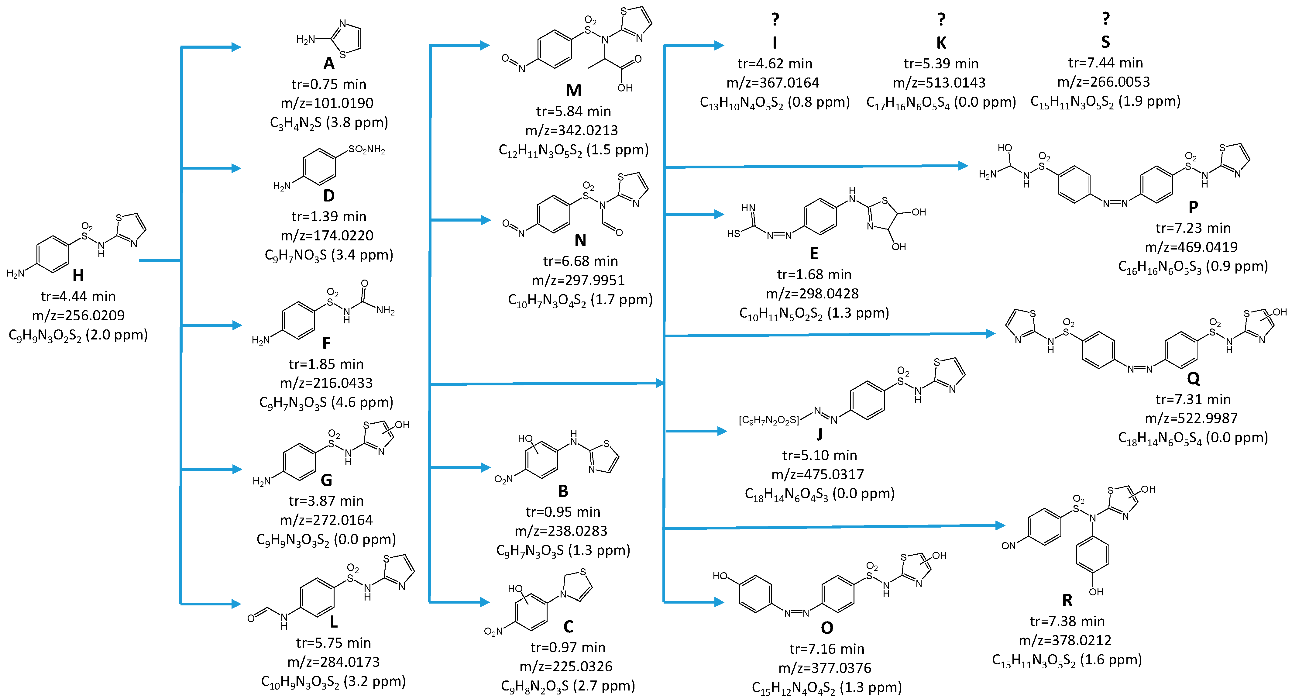 Ijms 23 15676 g007 Ijms 23 15676 g007