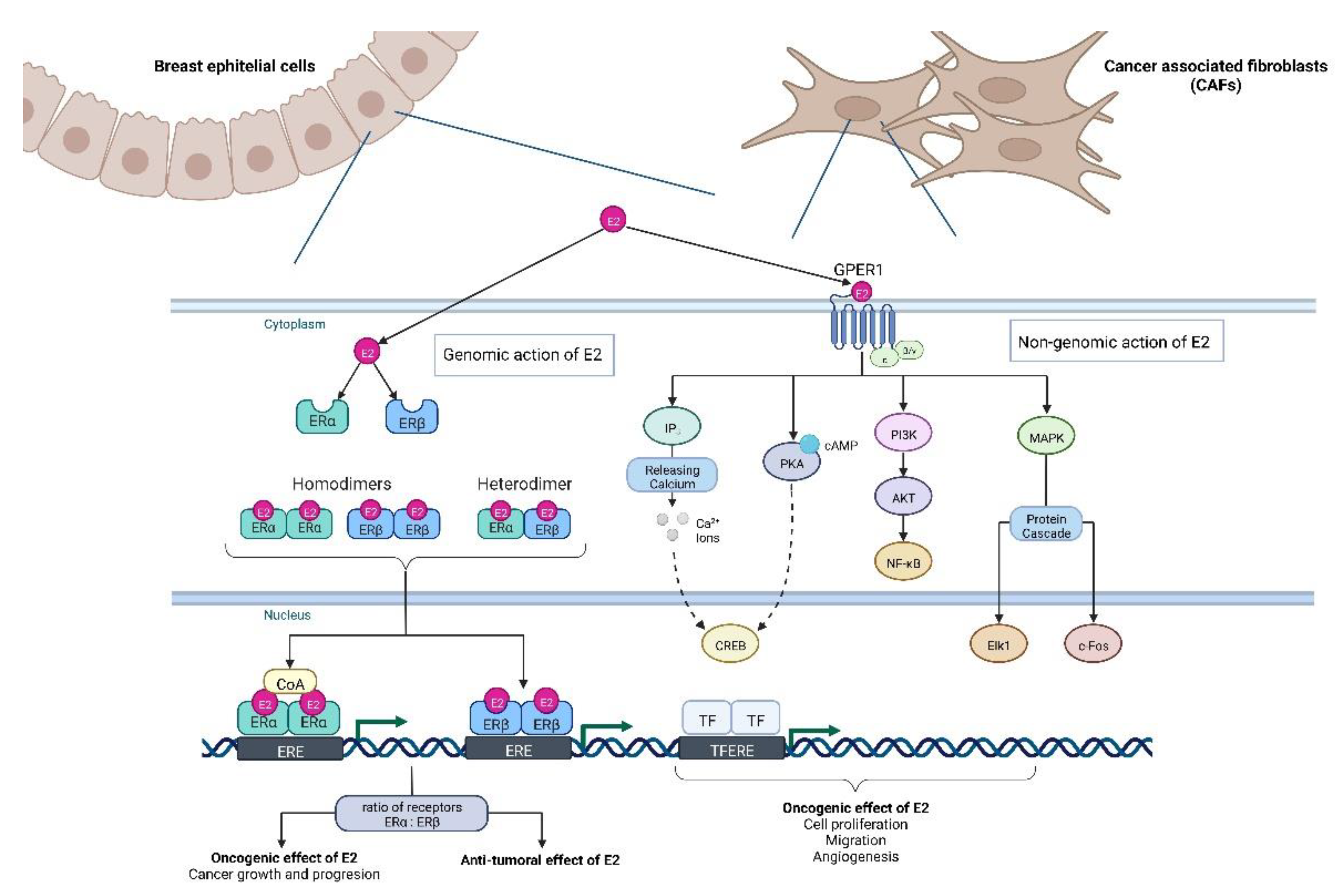 Ijms 23 15683 g002 Ijms 23 15683 g002