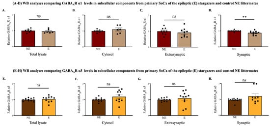 IJMS | Free Full-Text | Altered GABAA Receptor Expression In The ...