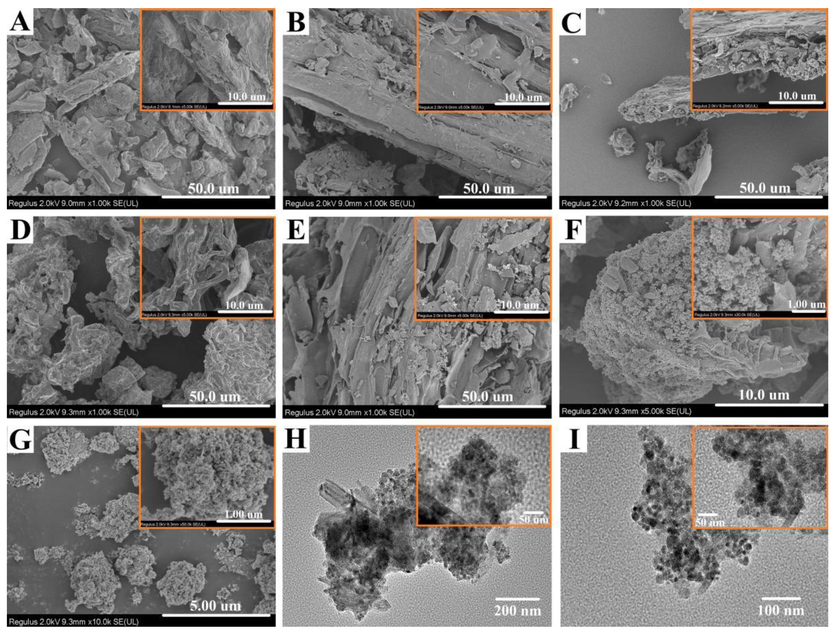 Ijms 23 15703 g003 Ijms 23 15703 g003