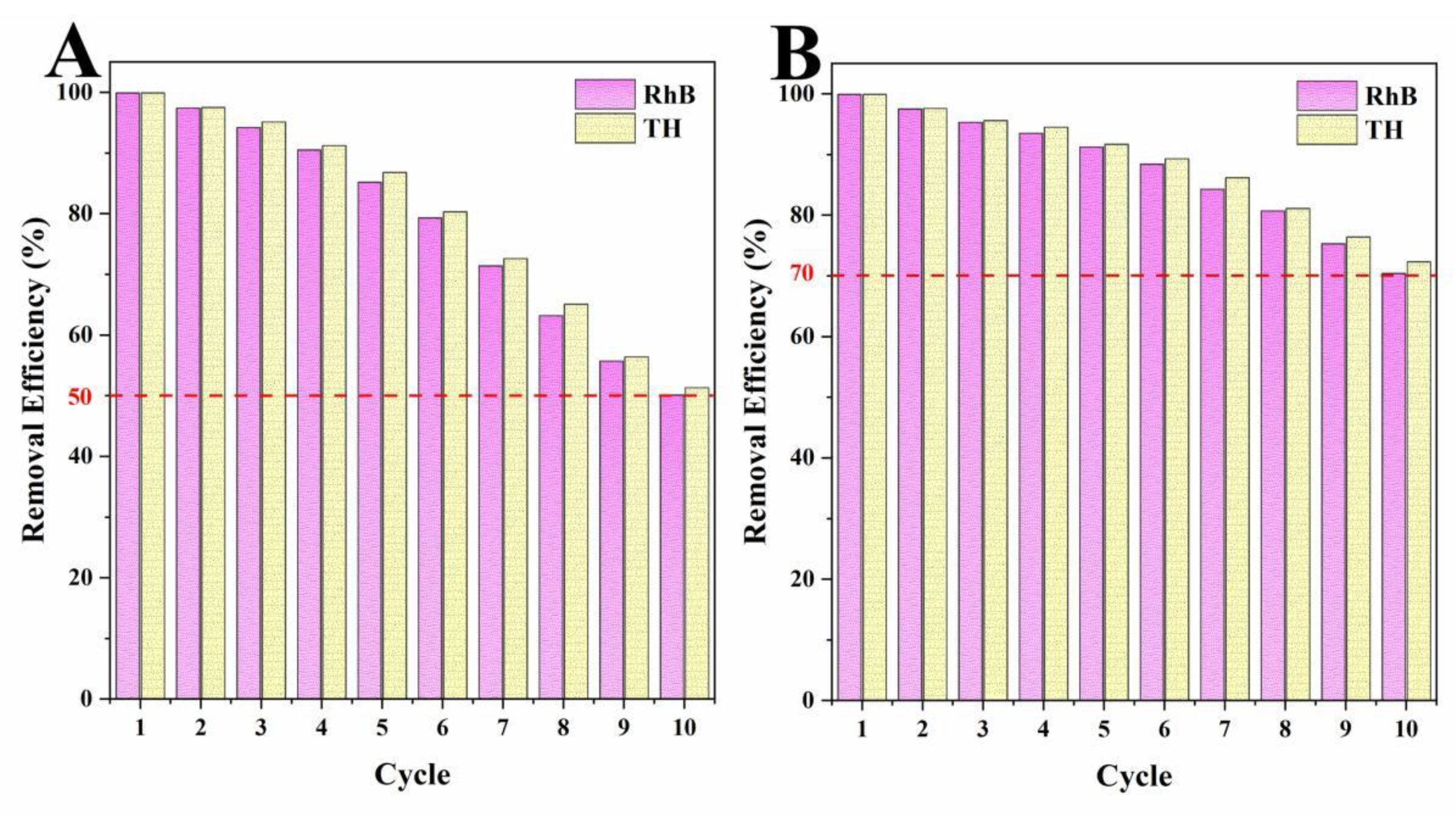 Ijms 23 15703 g011 Ijms 23 15703 g011