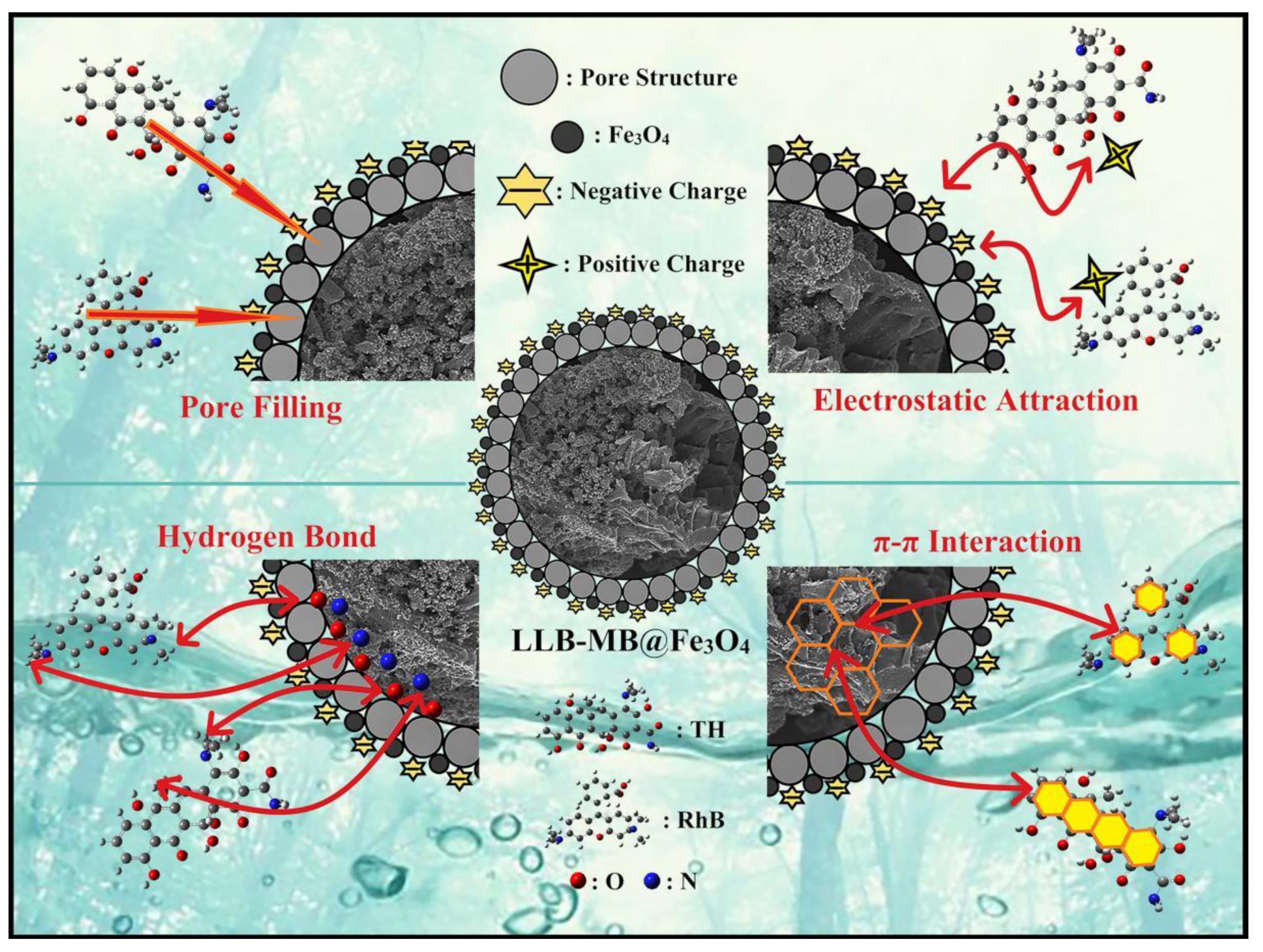 Ijms 23 15703 g012 Ijms 23 15703 g012
