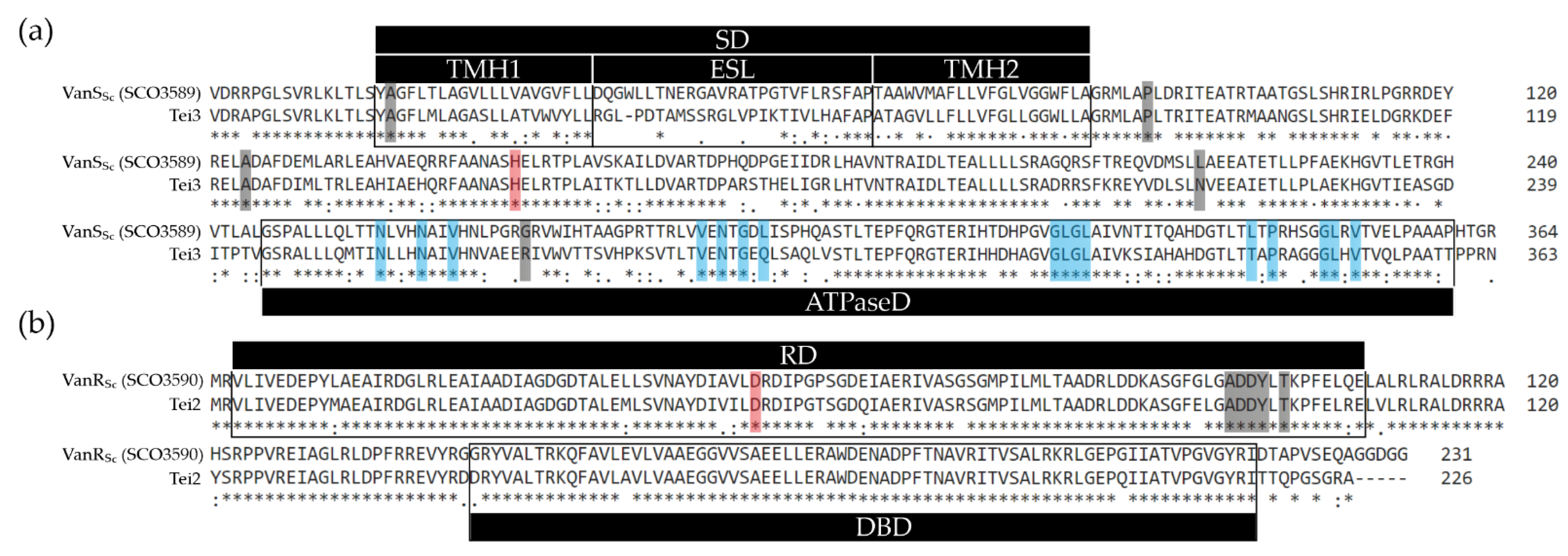 Ijms 23 15713 g001 Ijms 23 15713 g001